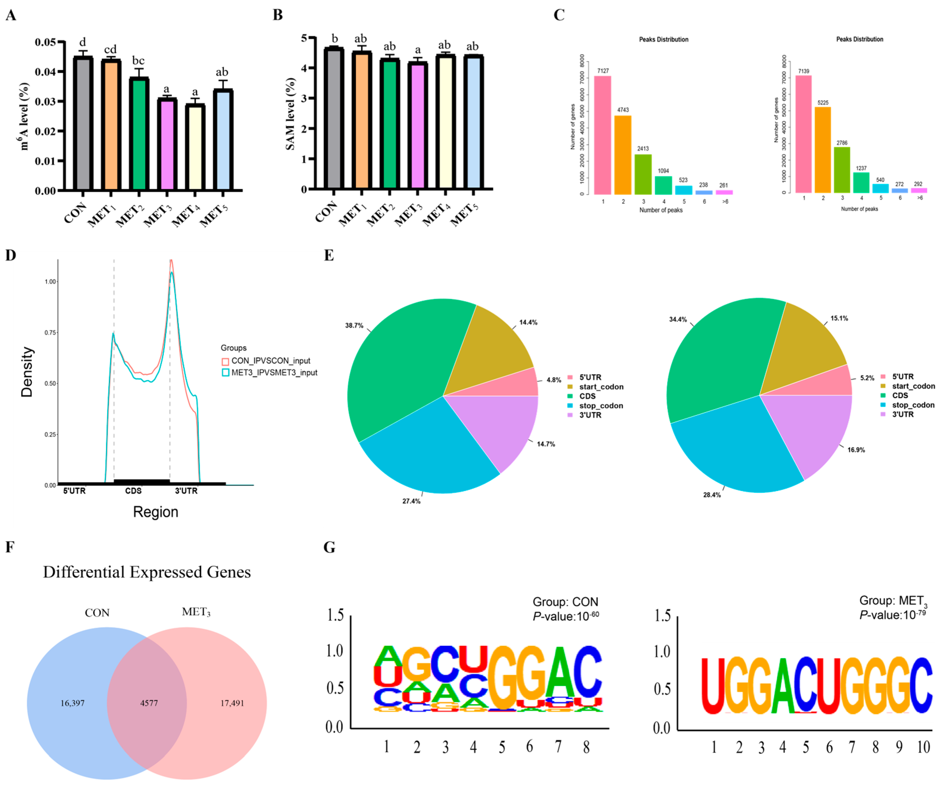 Antioxidants 14 01327 g005
