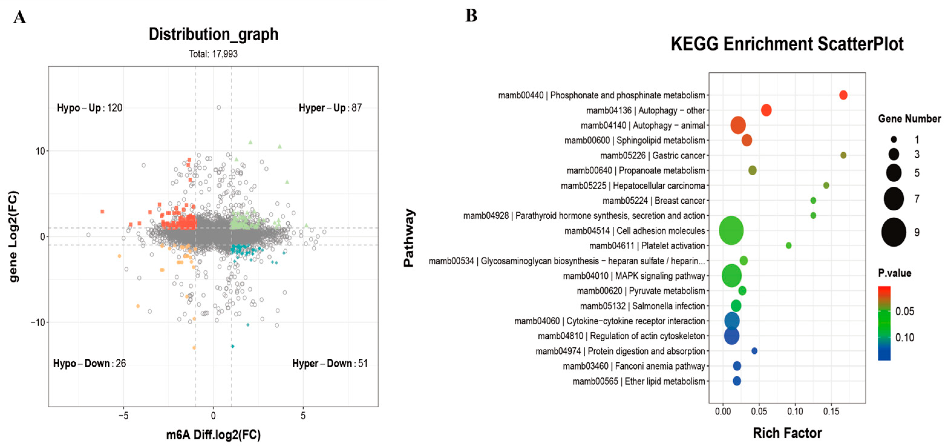 Antioxidants 14 01327 g006