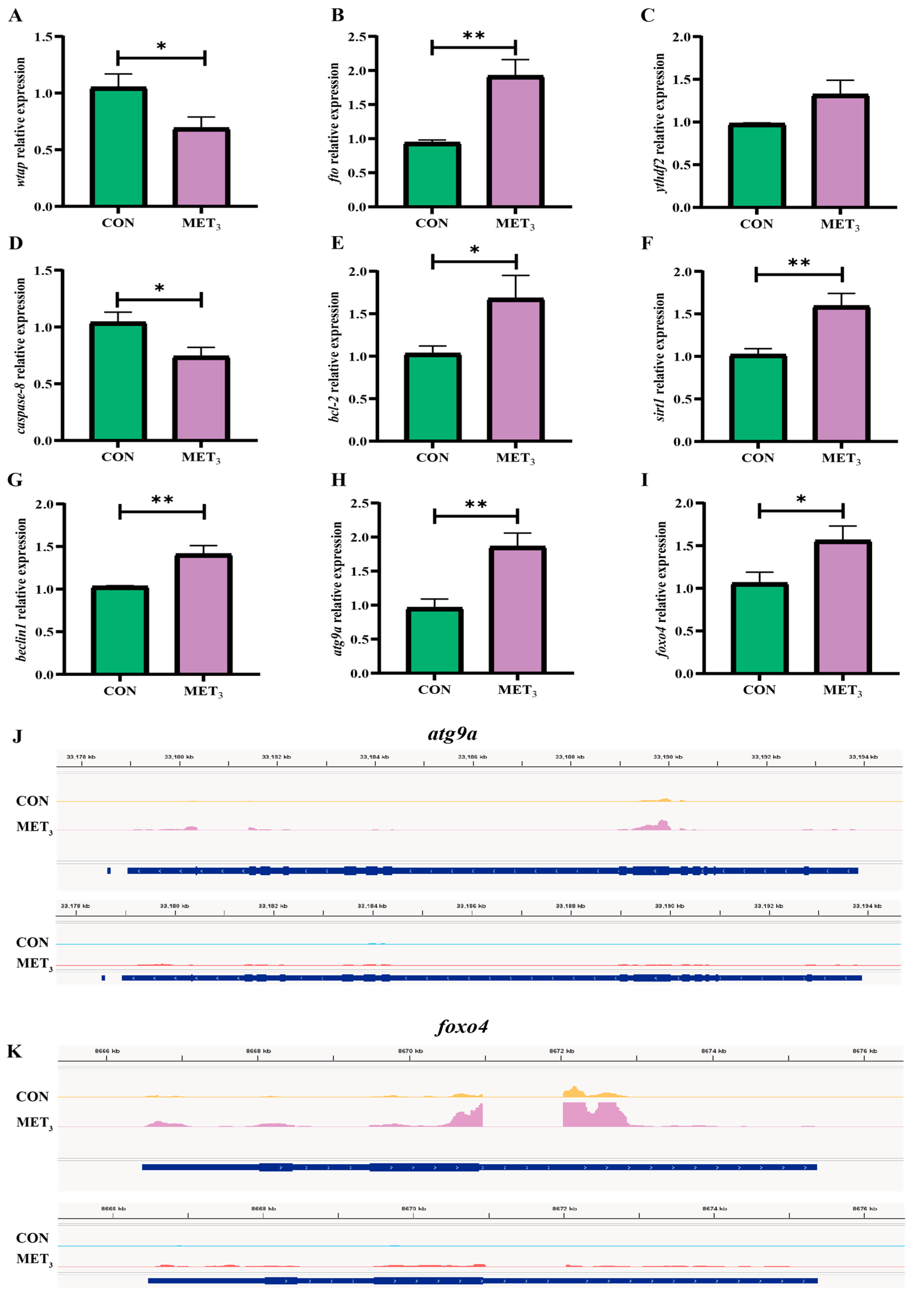 Antioxidants 14 01327 g007