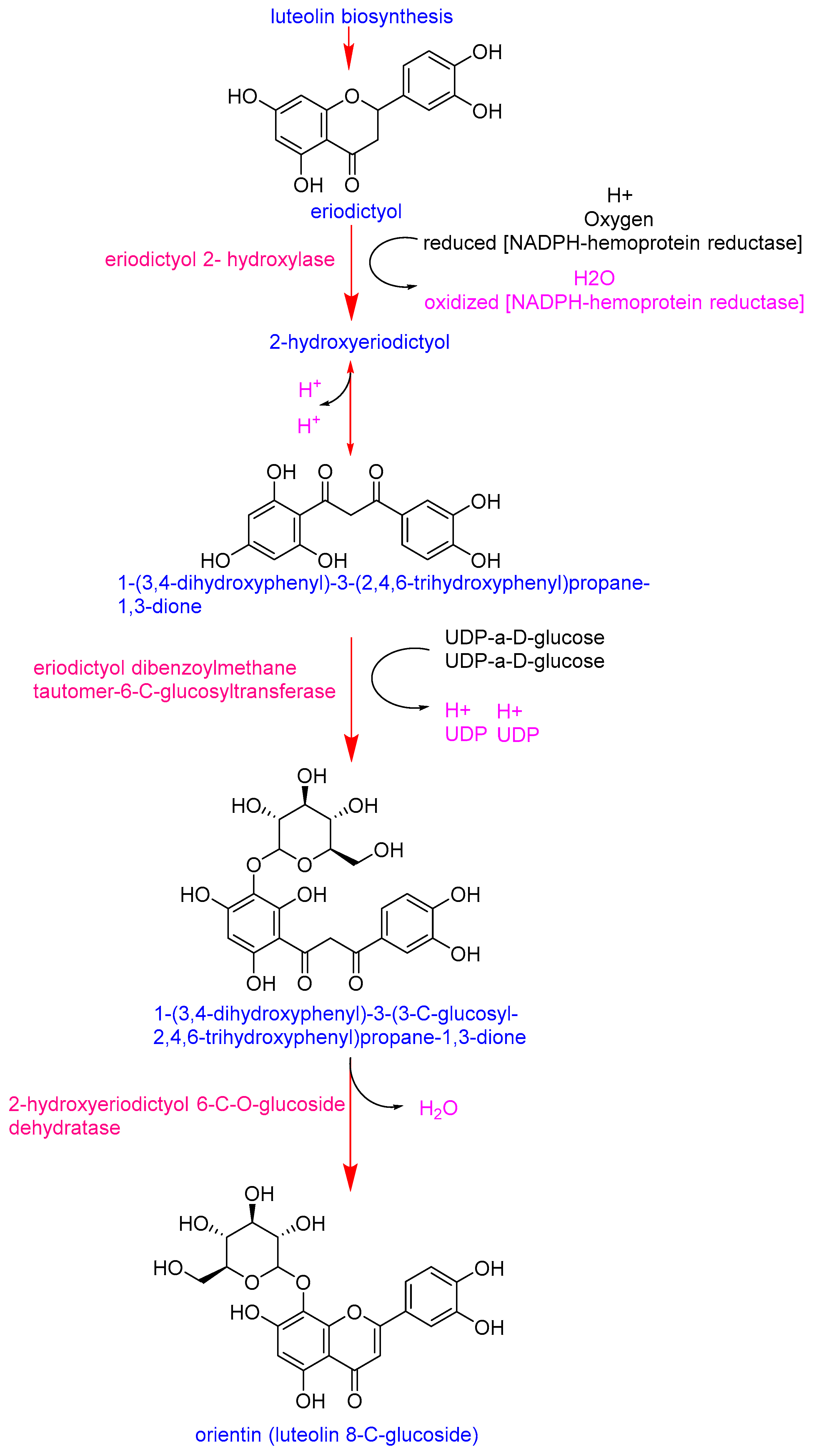 Antioxidants 14 01330 g003 Antioxidants 14 01330 g003