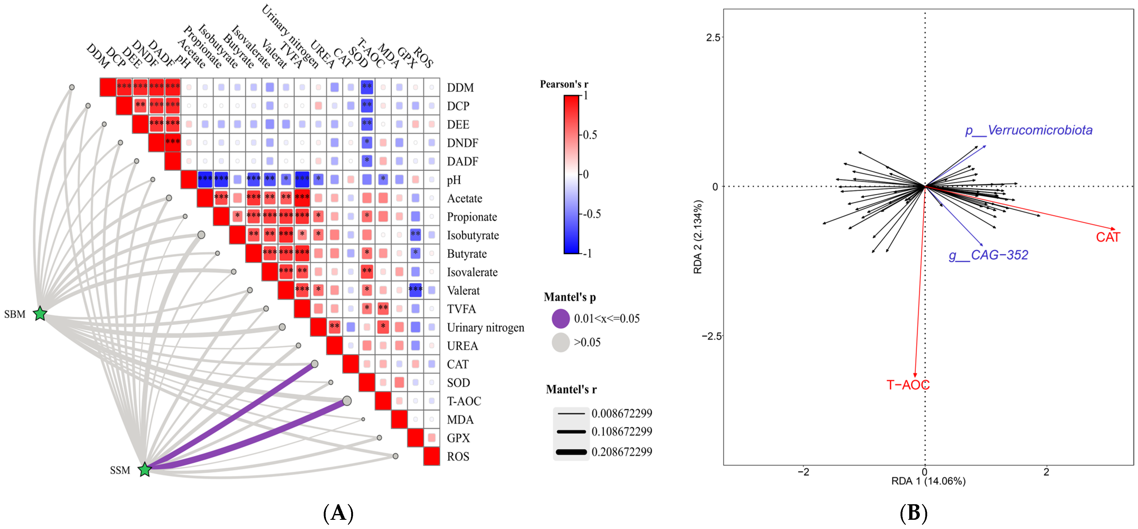 Antioxidants 14 01336 g004