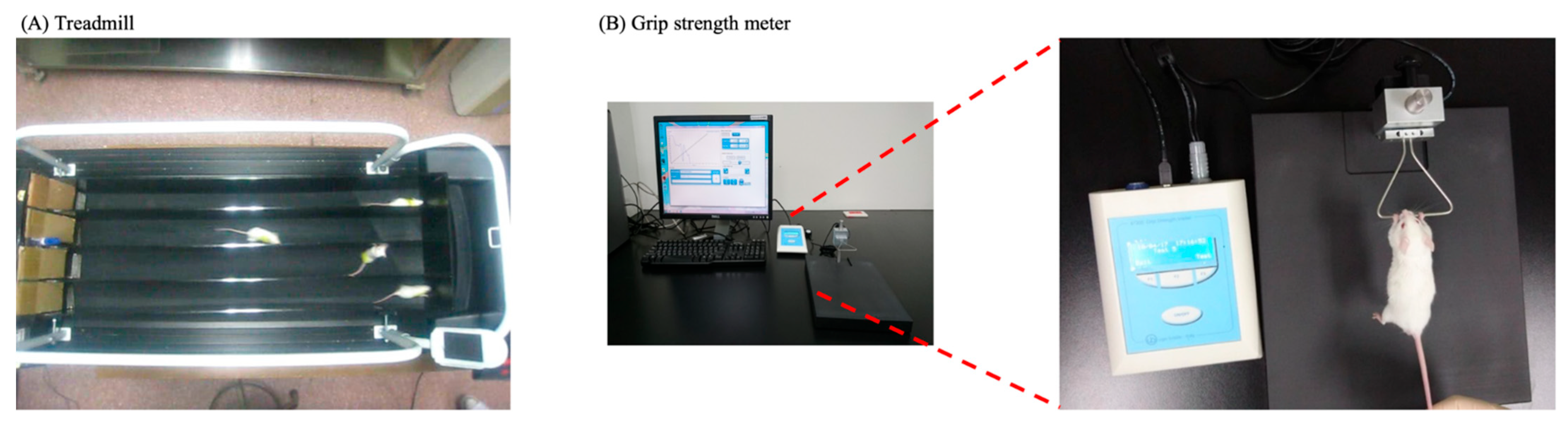 Antioxidants 14 01337 g002