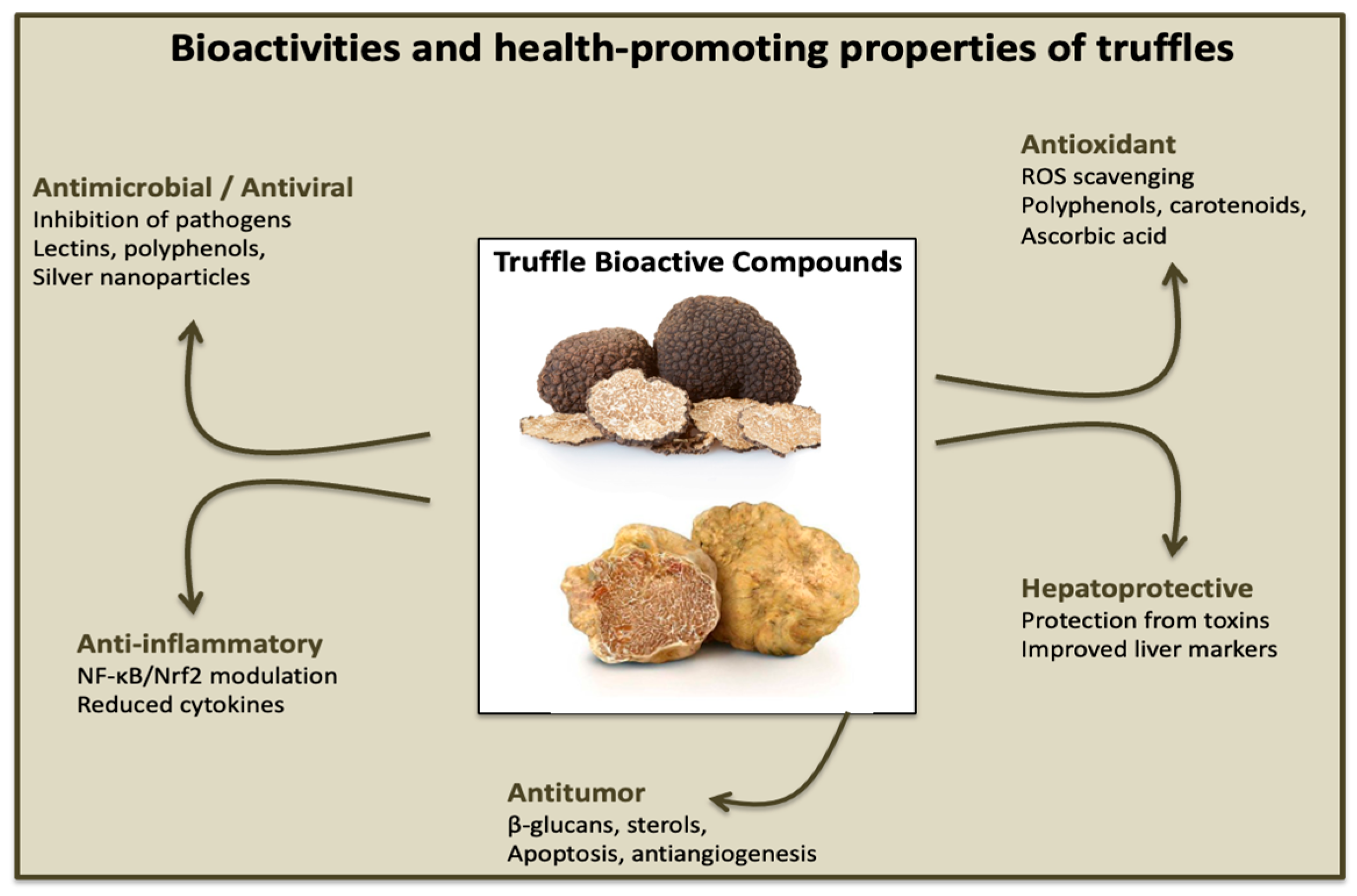 Antioxidants 14 01341 g001