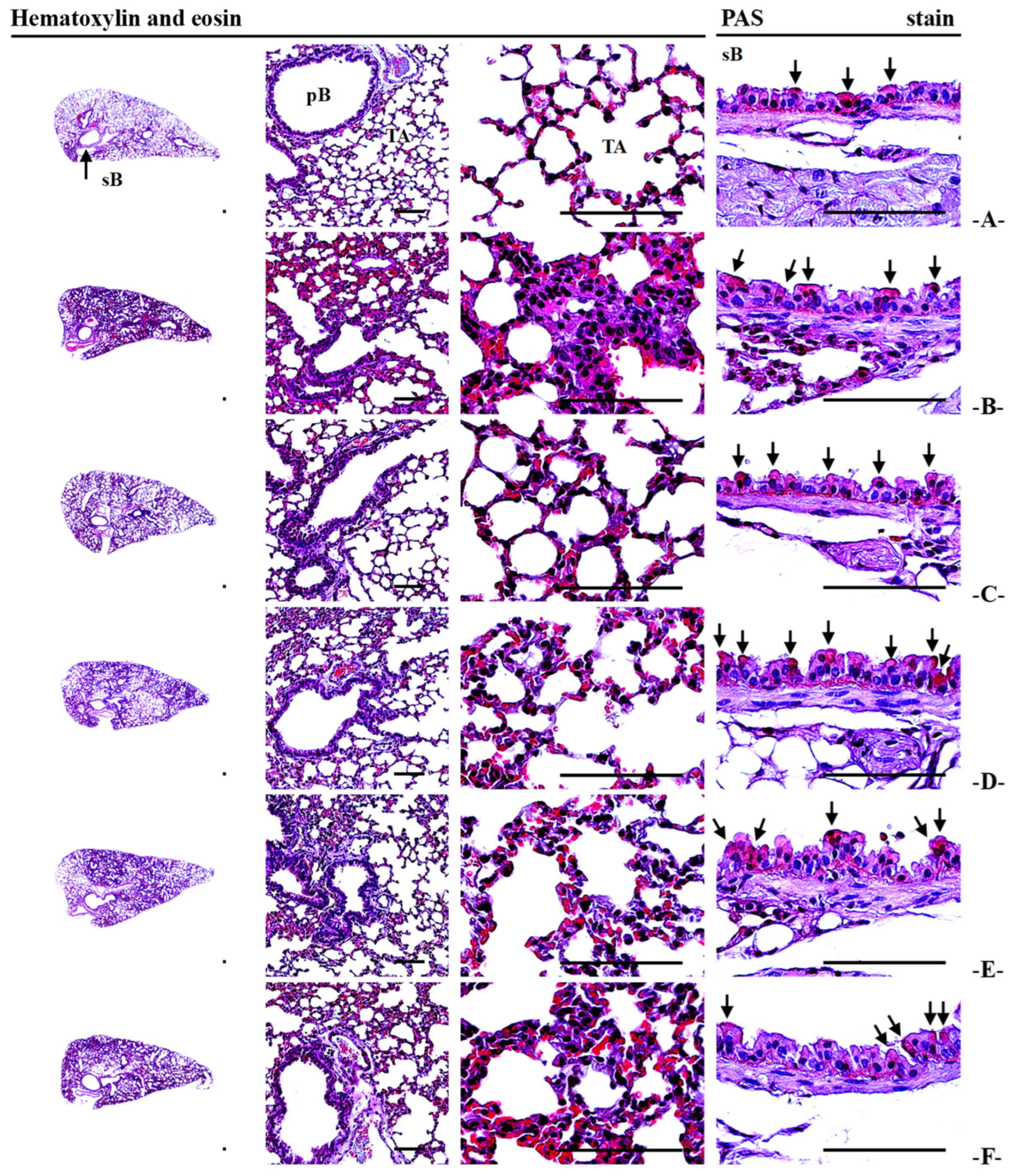 Antioxidants 14 01343 g007