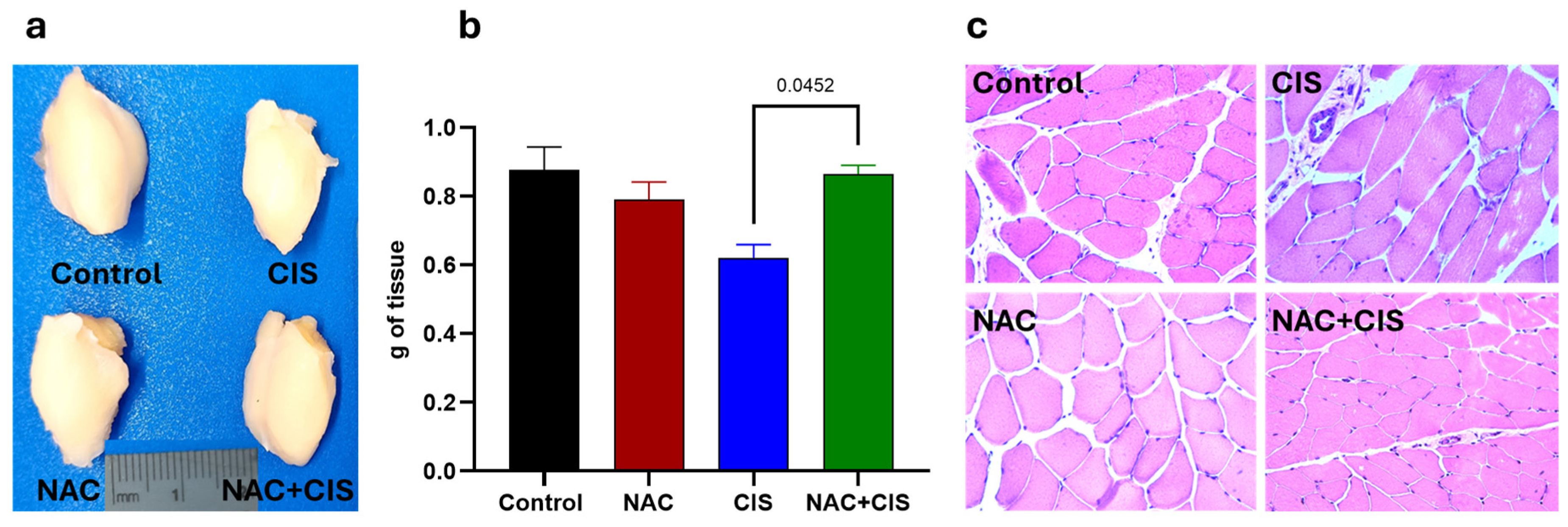 Antioxidants 14 01344 g002