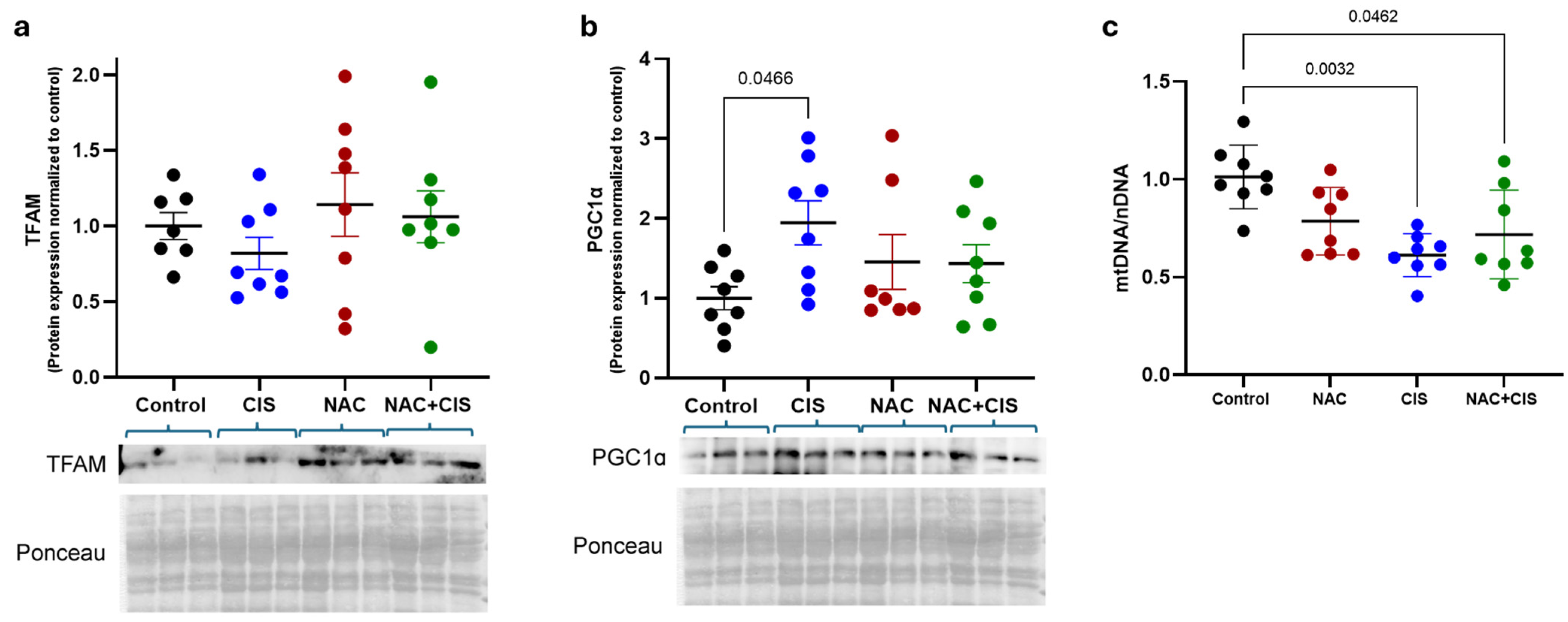 Antioxidants 14 01344 g005