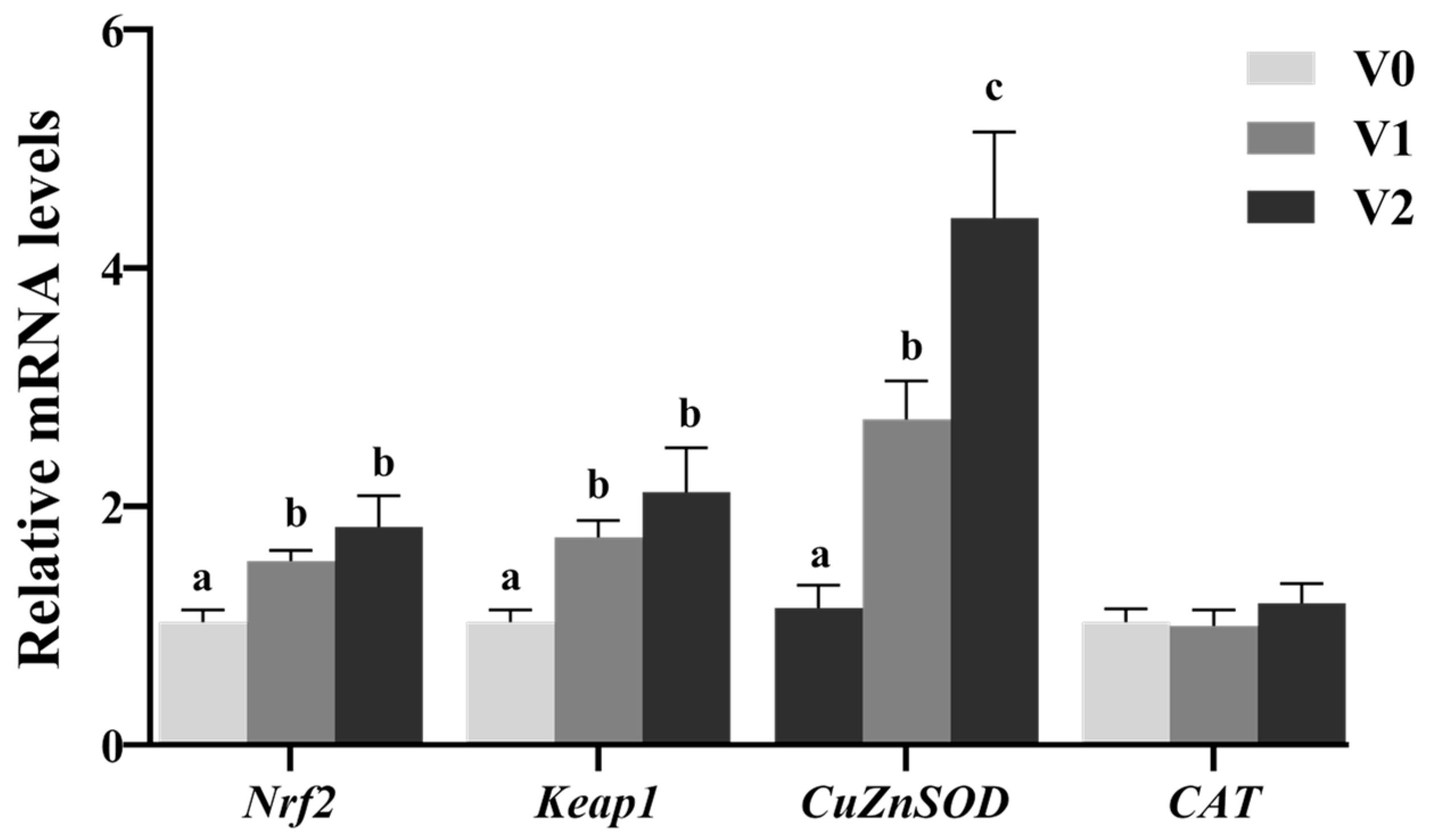 Antioxidants 14 01347 g001
