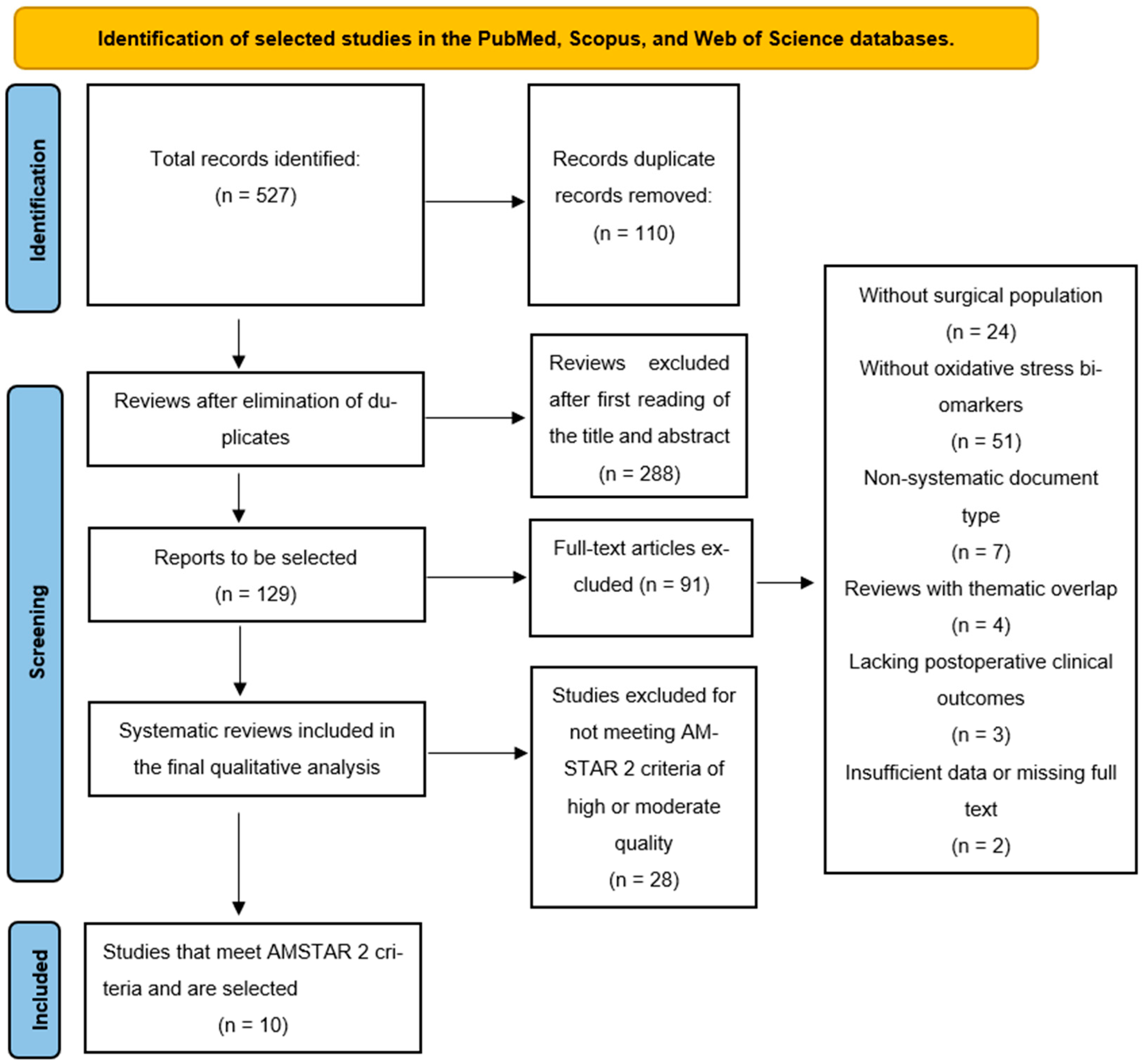Antioxidants 14 01349 g001 Antioxidants 14 01349 g001