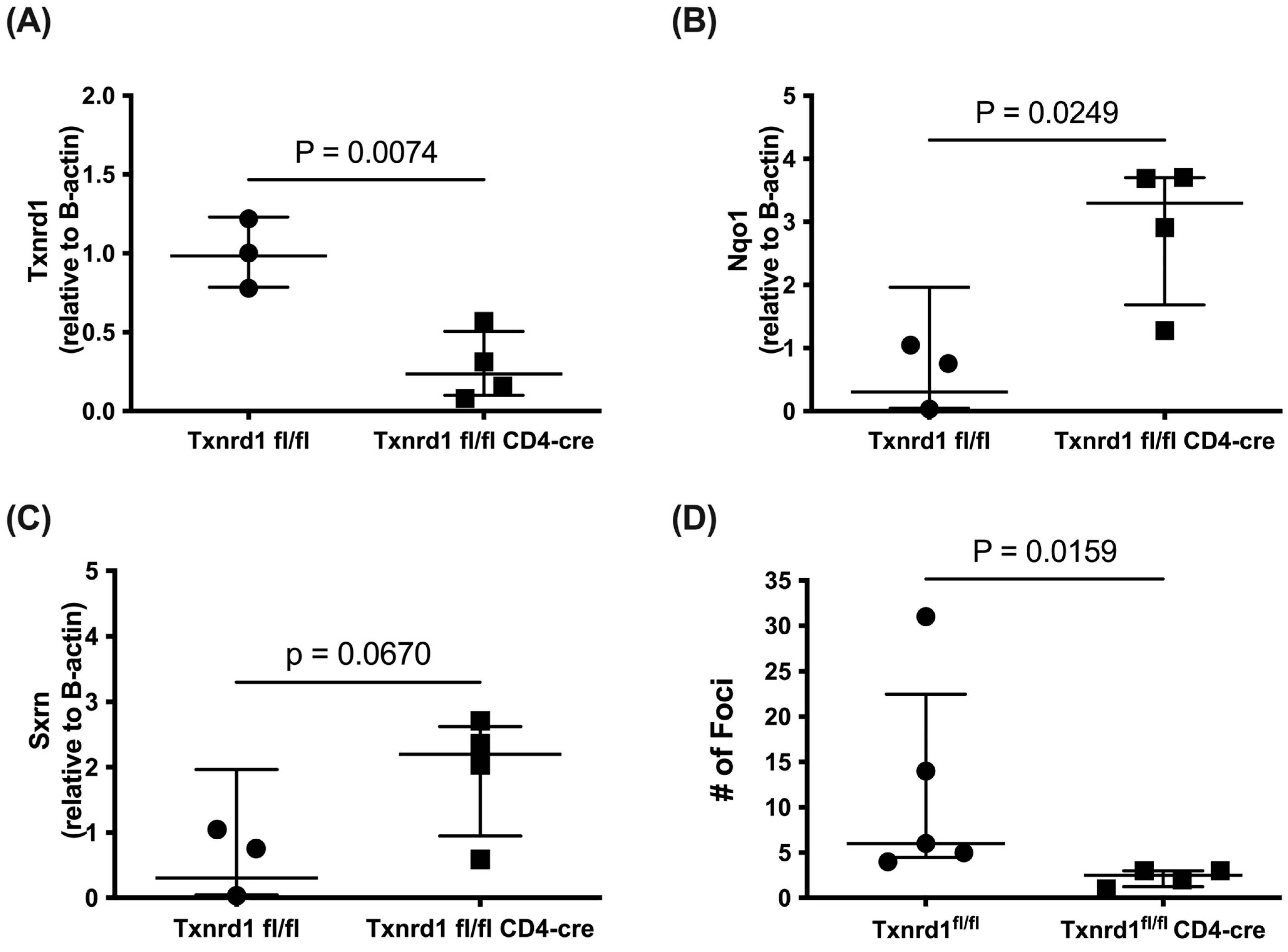 Antioxidants 14 01351 g005