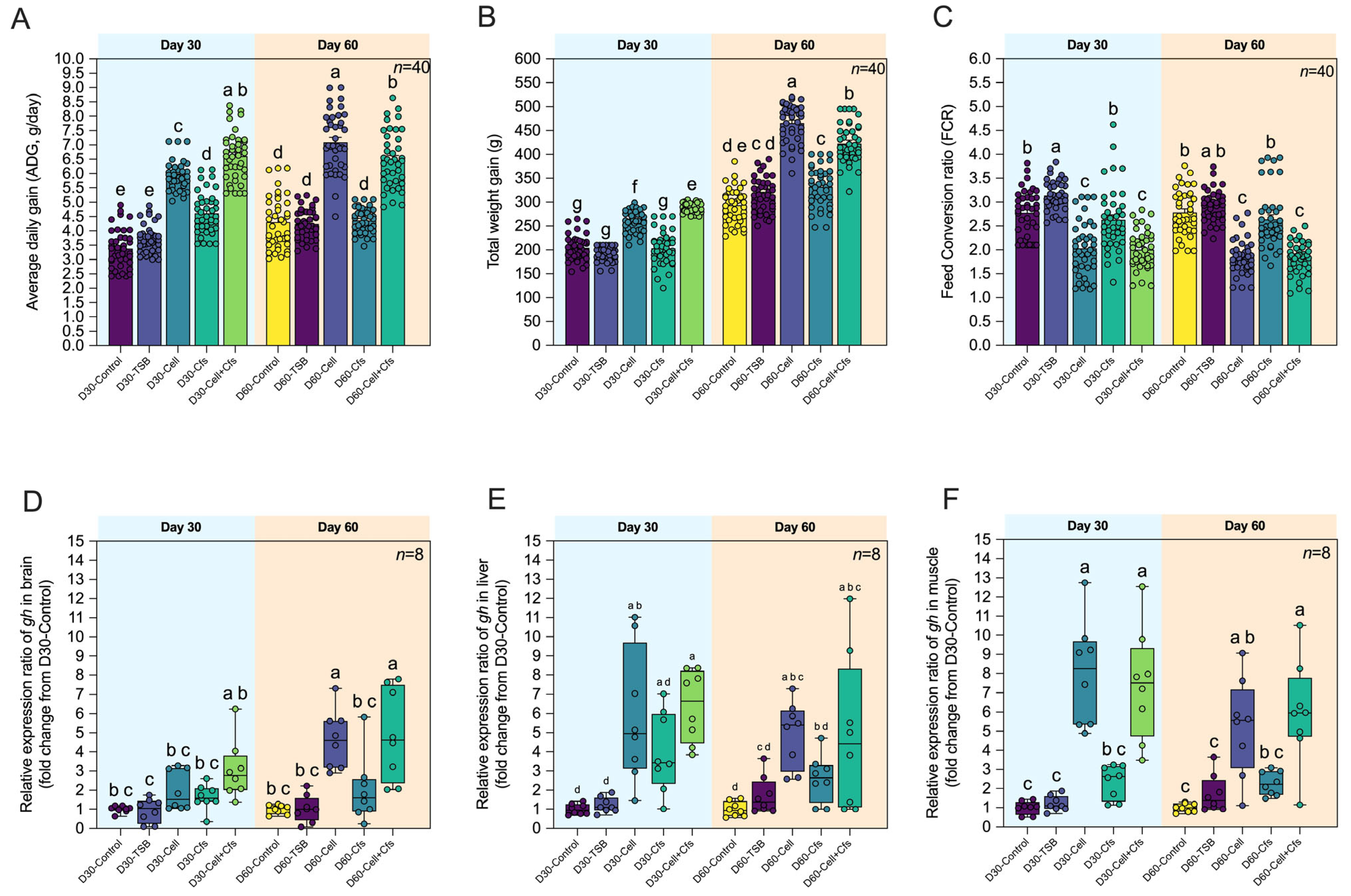 Antioxidants 14 01356 g002