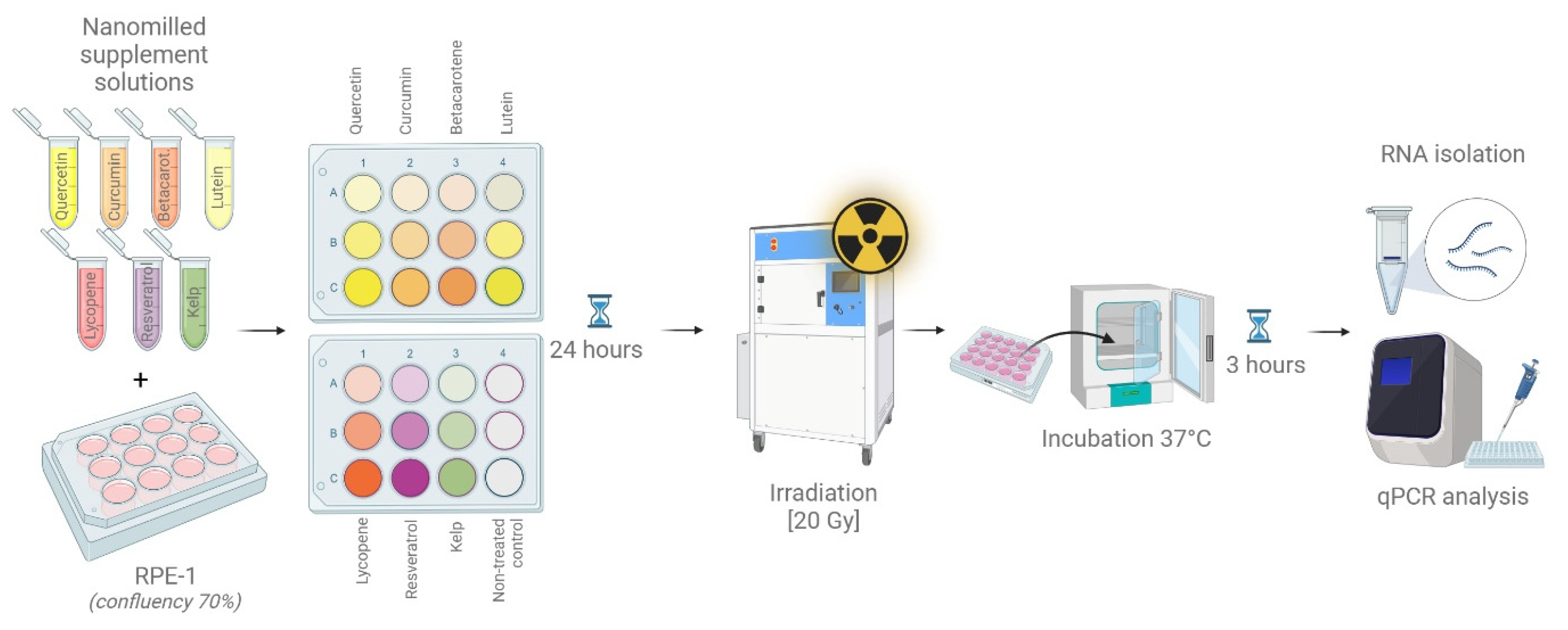 Antioxidants 14 01357 g001