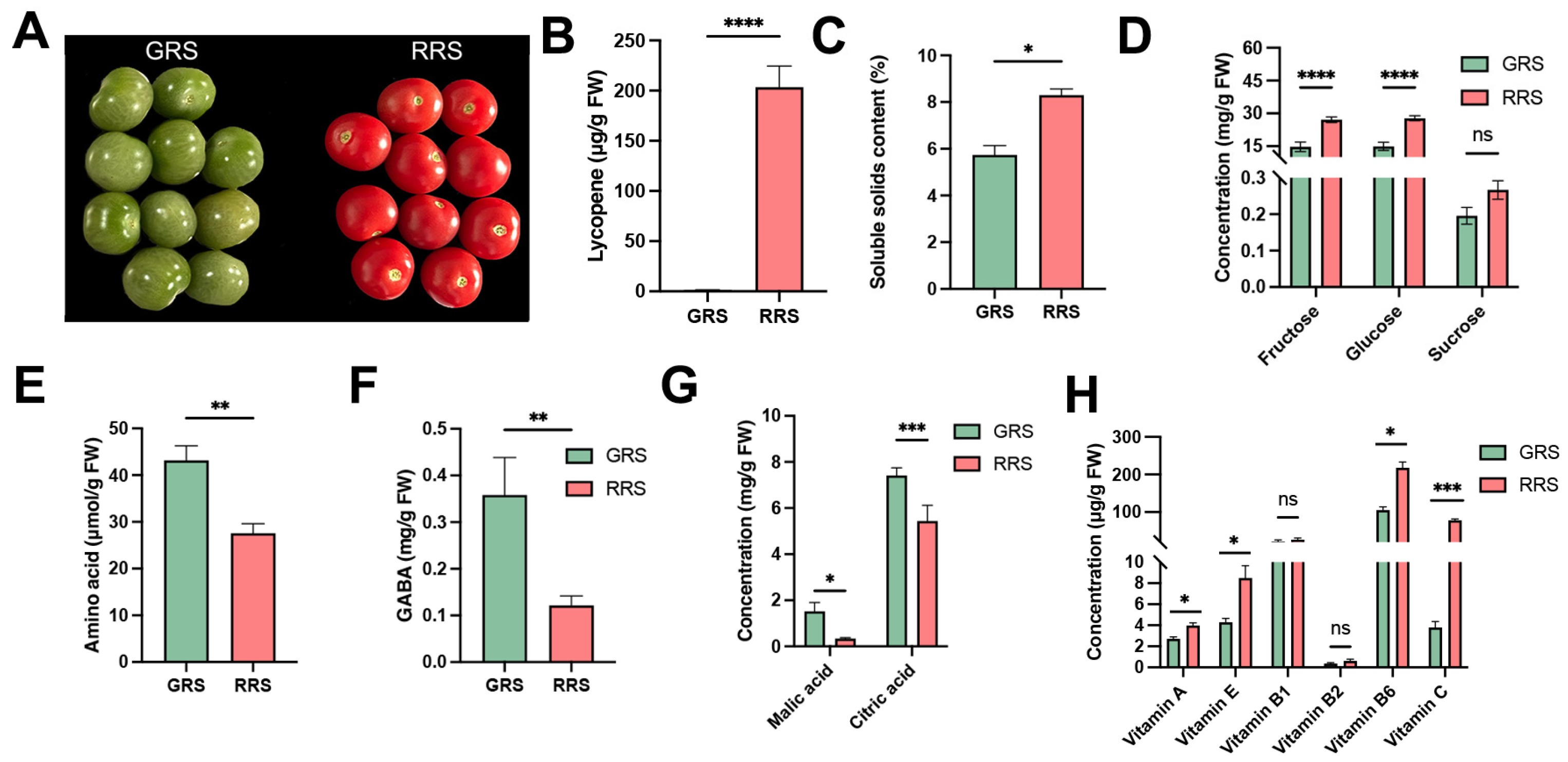 Antioxidants 14 01359 g001