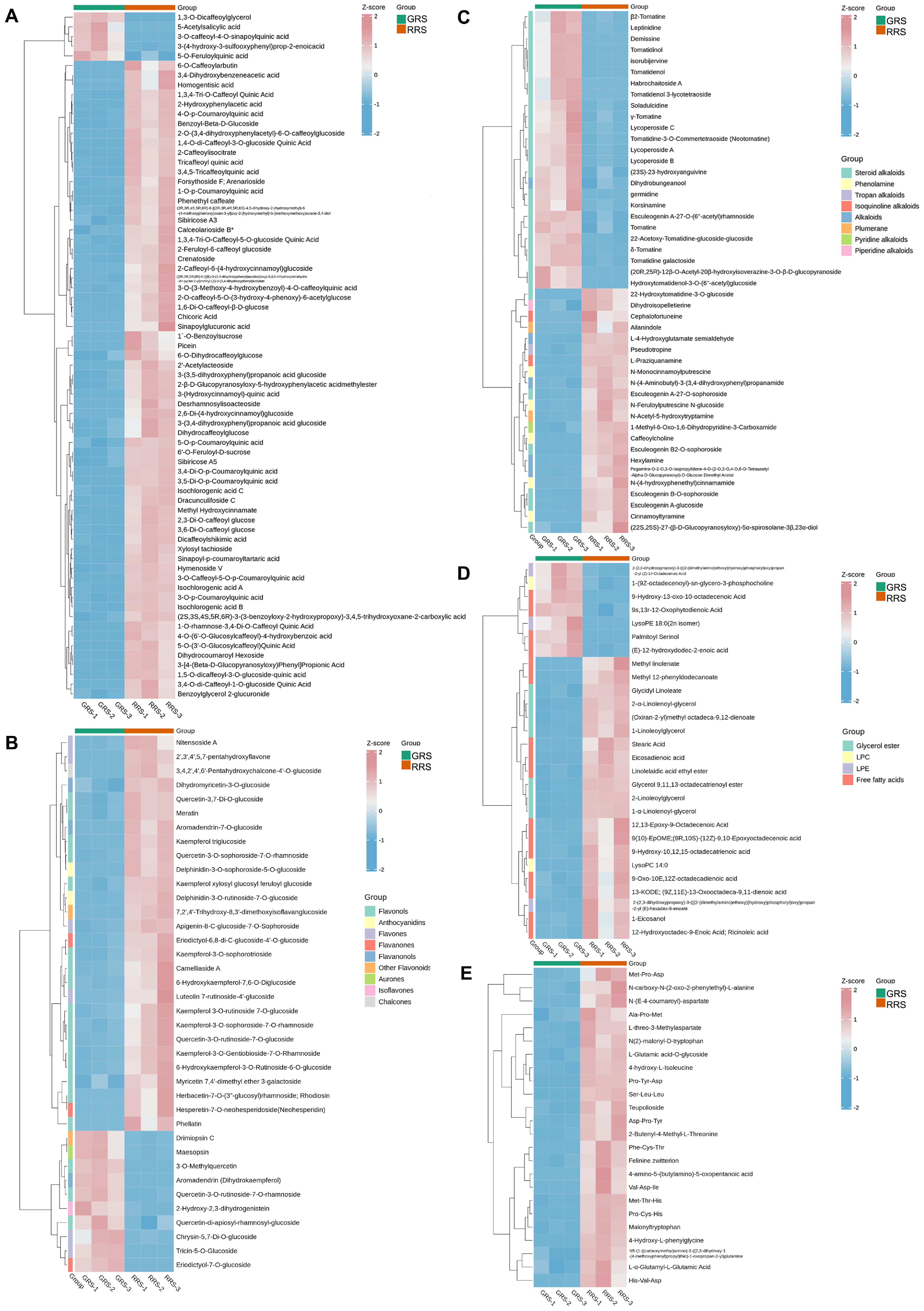 Antioxidants 14 01359 g004