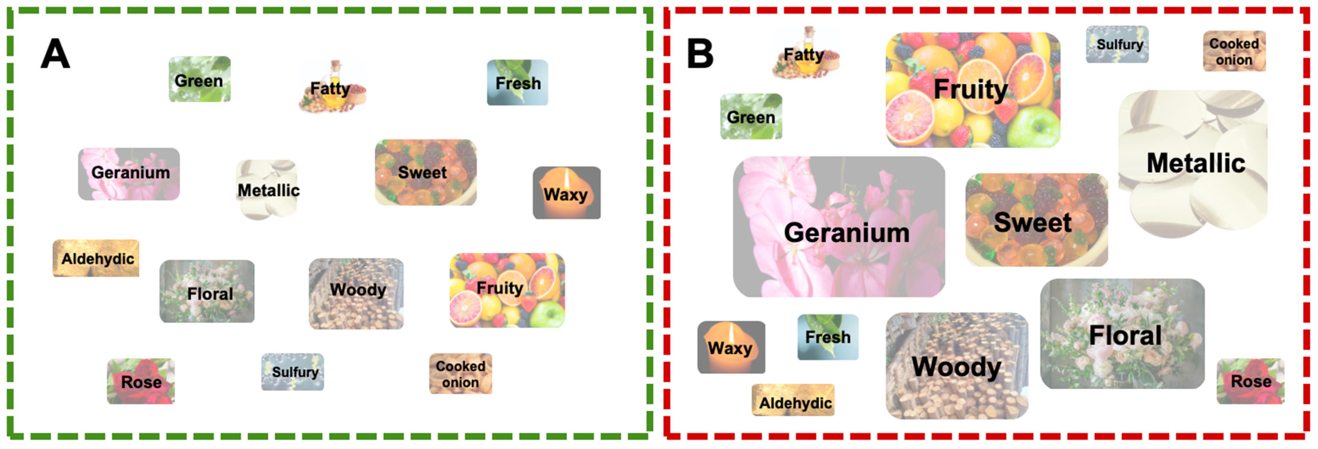 Antioxidants 14 01359 g006