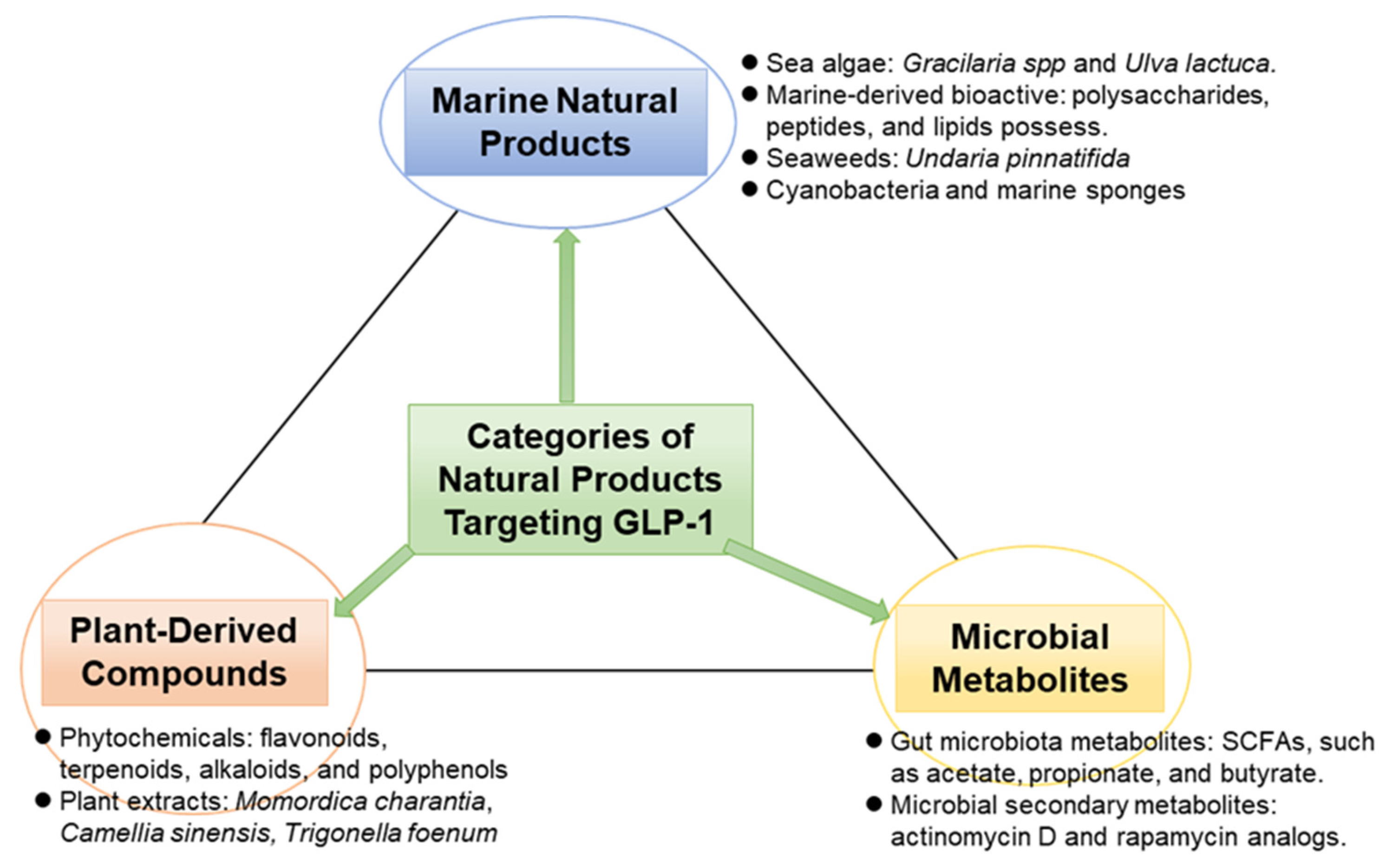 Antioxidants 14 01364 g001