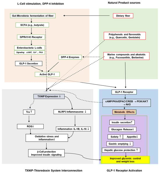 Antioxidants 14 01364 g002