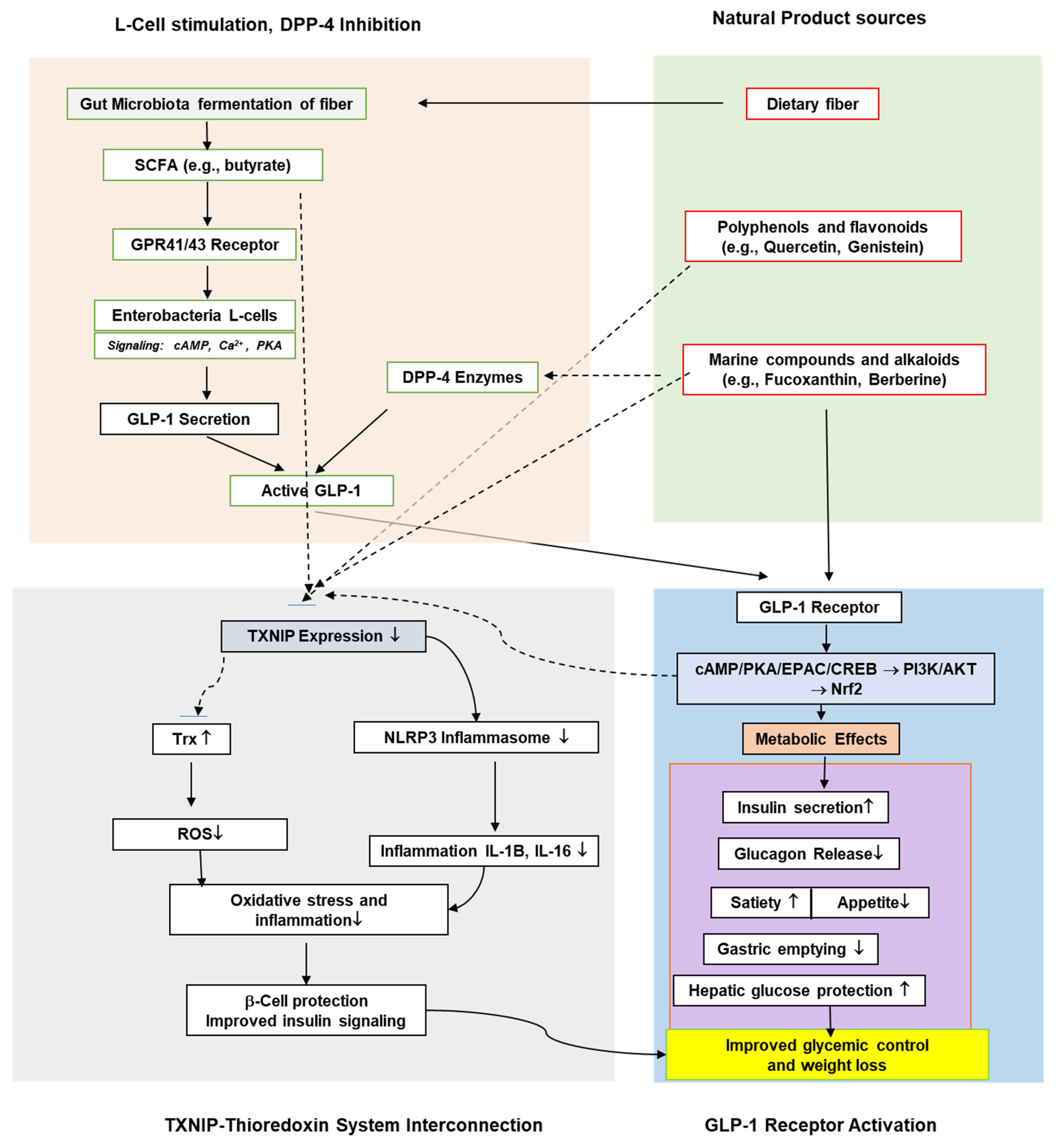 Antioxidants 14 01364 g002