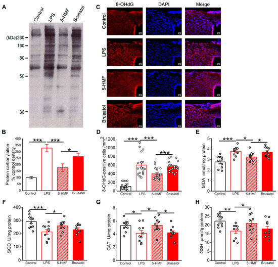 Antioxidants 14 01366 g004