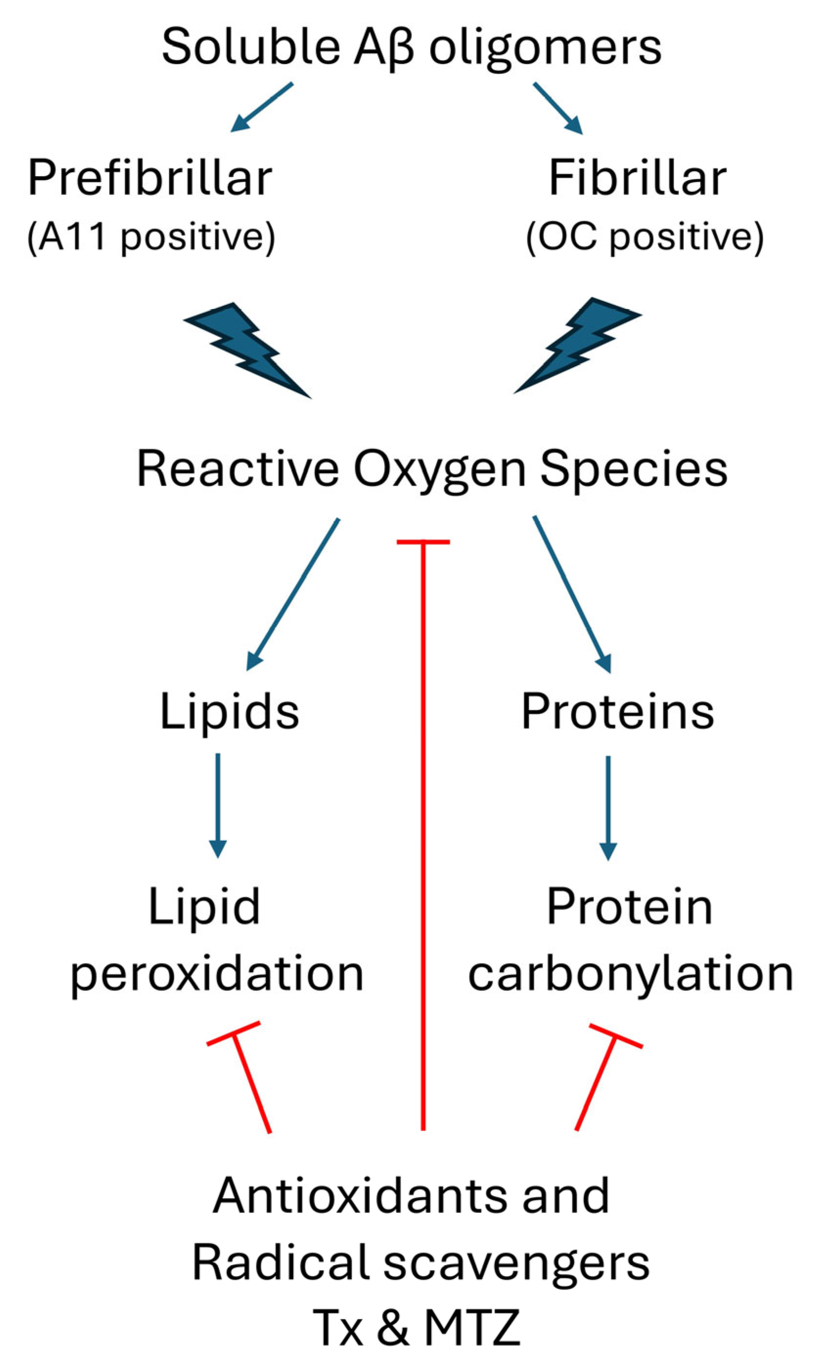 Antioxidants 14 01375 g005