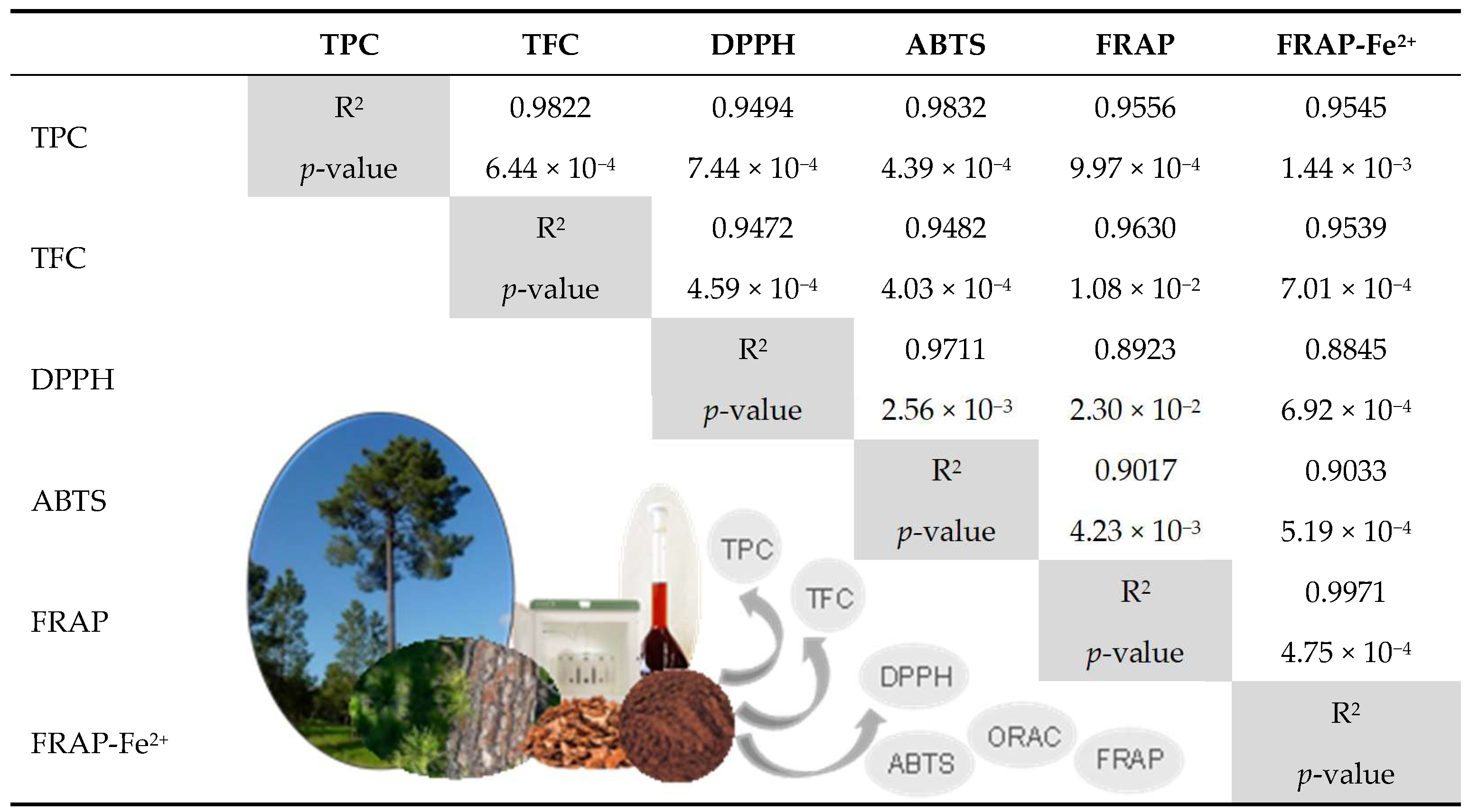 Antioxidants 14 01377 i001