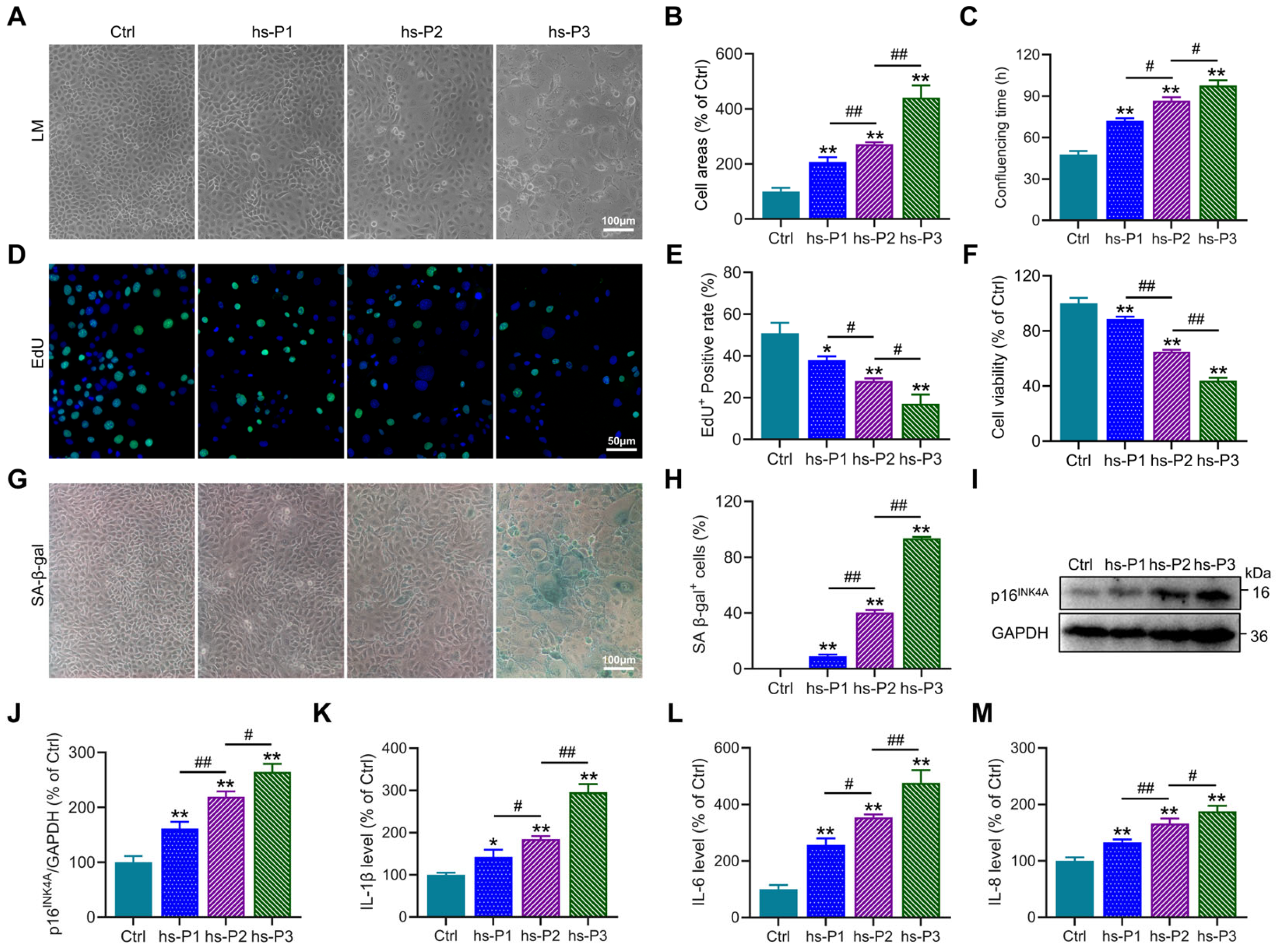Antioxidants 14 01381 g001