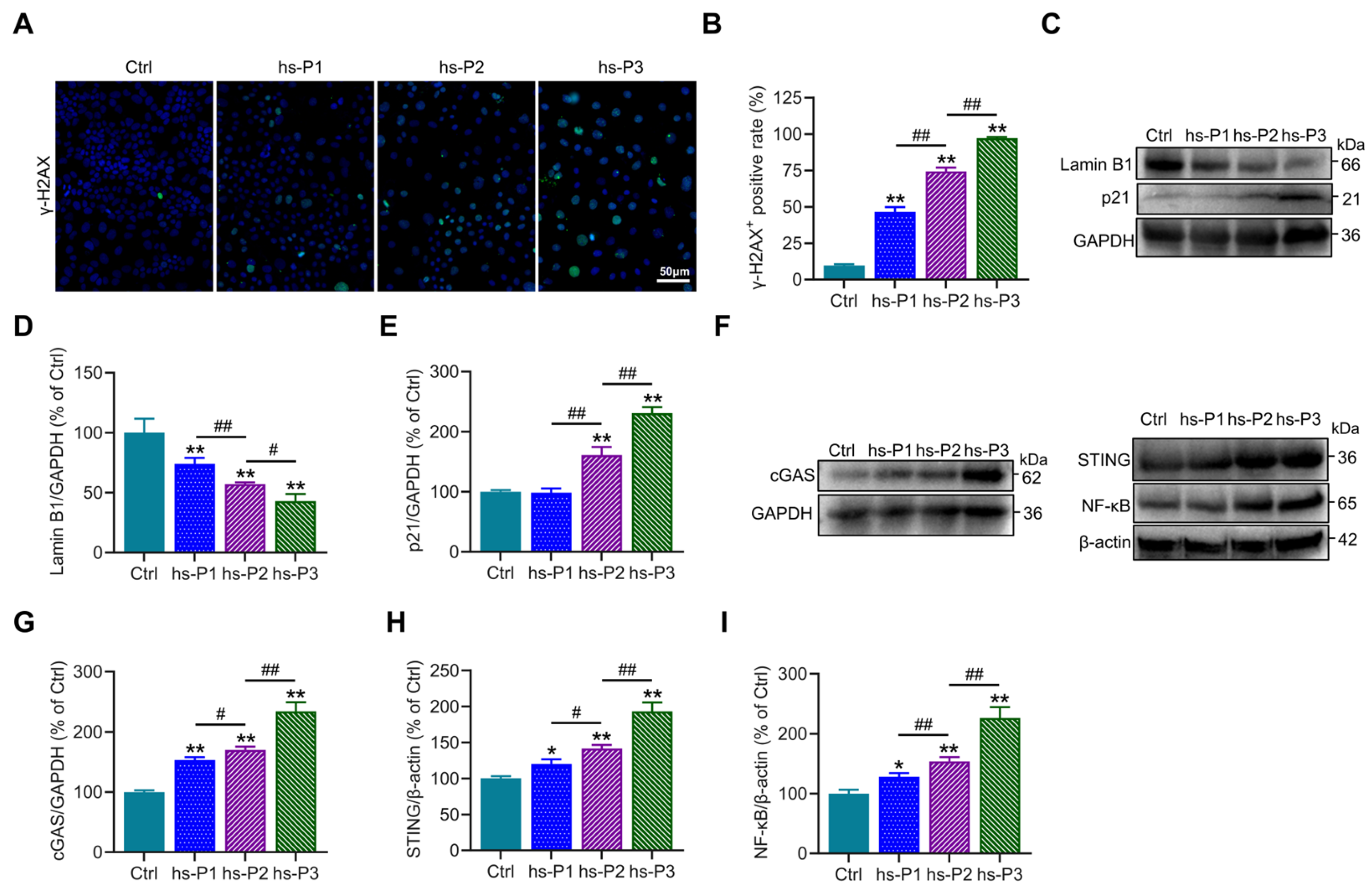 Antioxidants 14 01381 g002