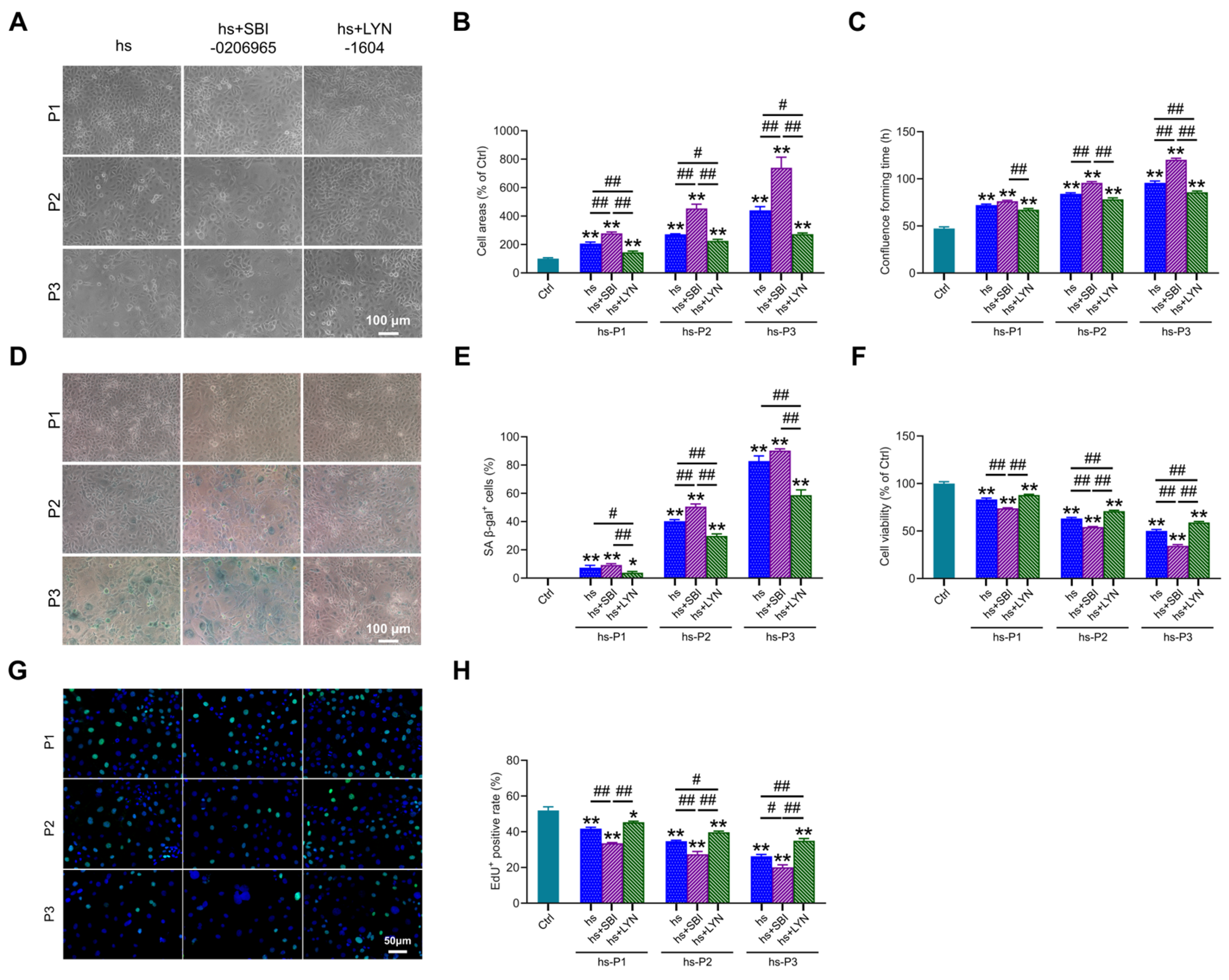 Antioxidants 14 01381 g007