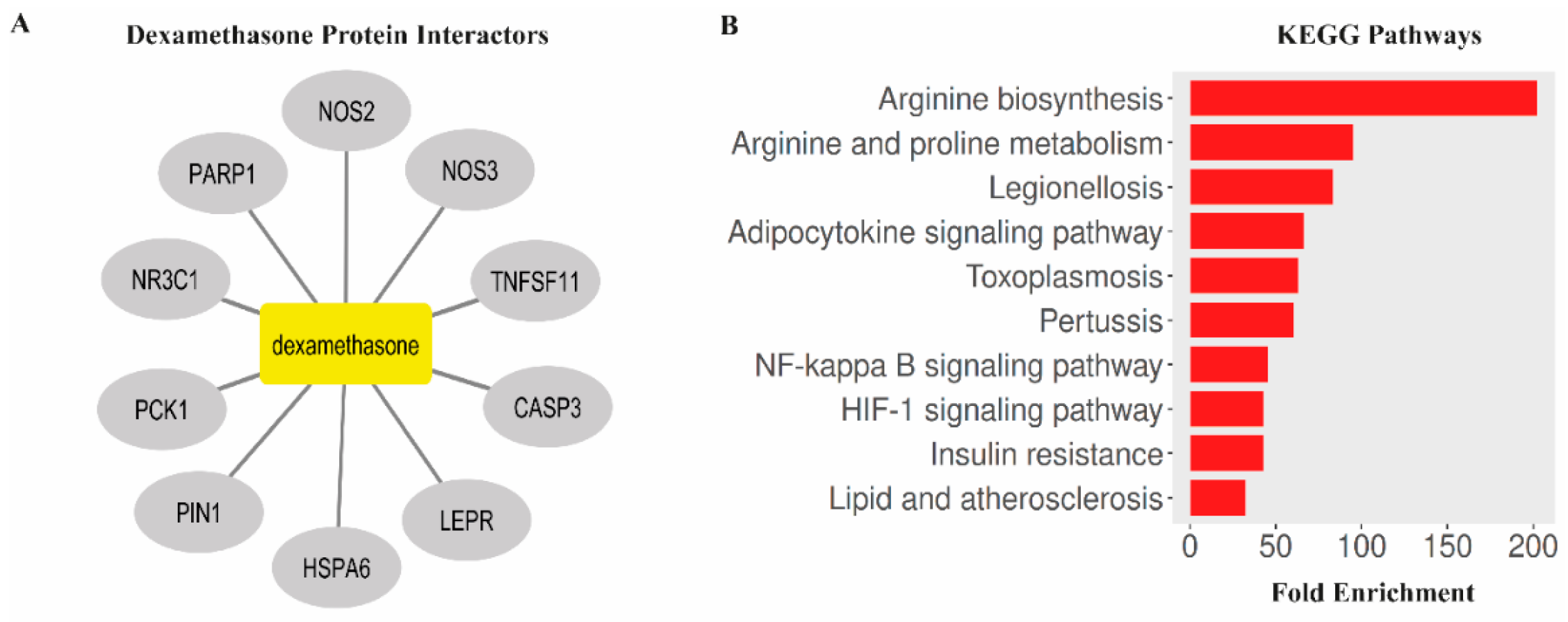Antioxidants 14 01382 g006