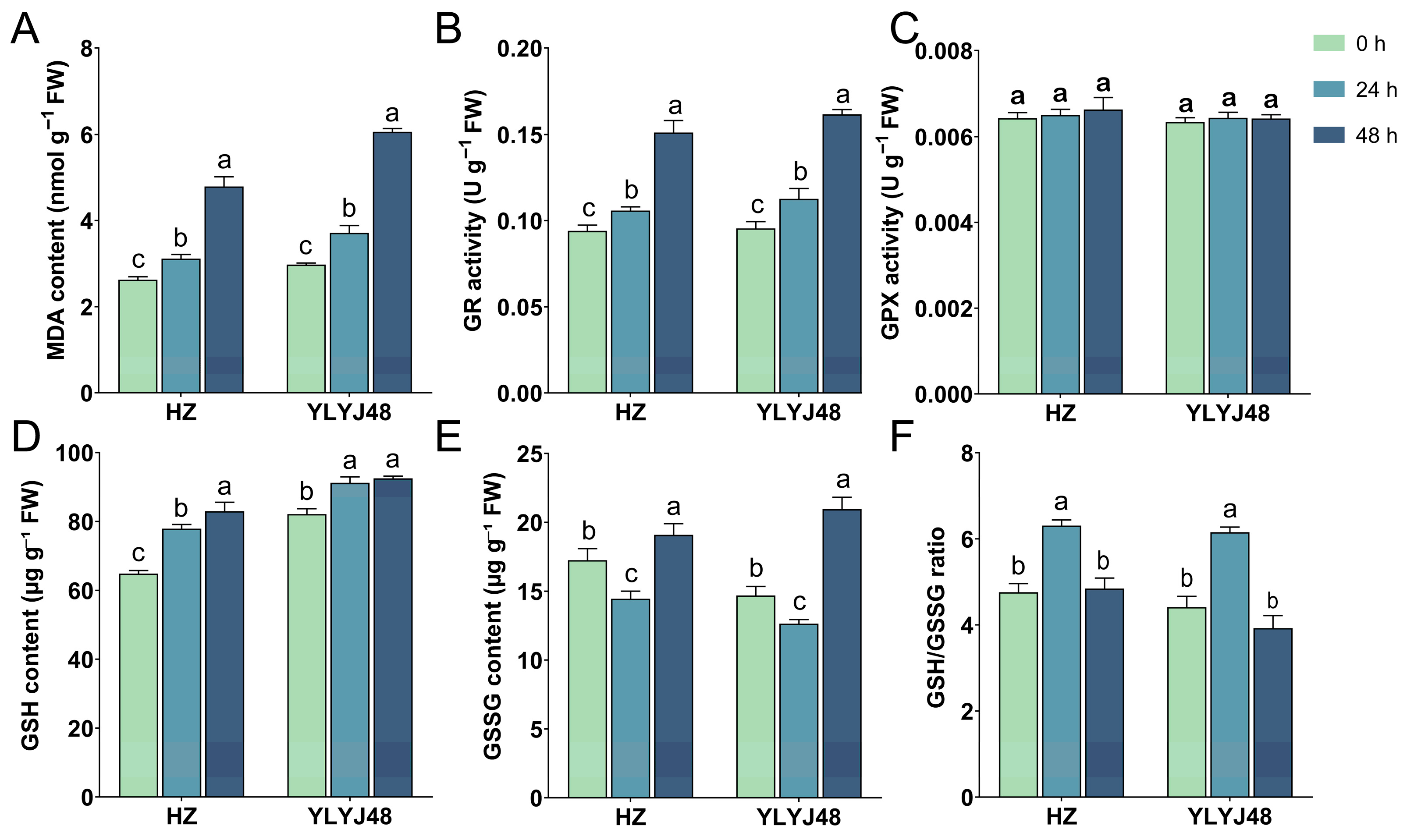 Antioxidants 14 01387 g005