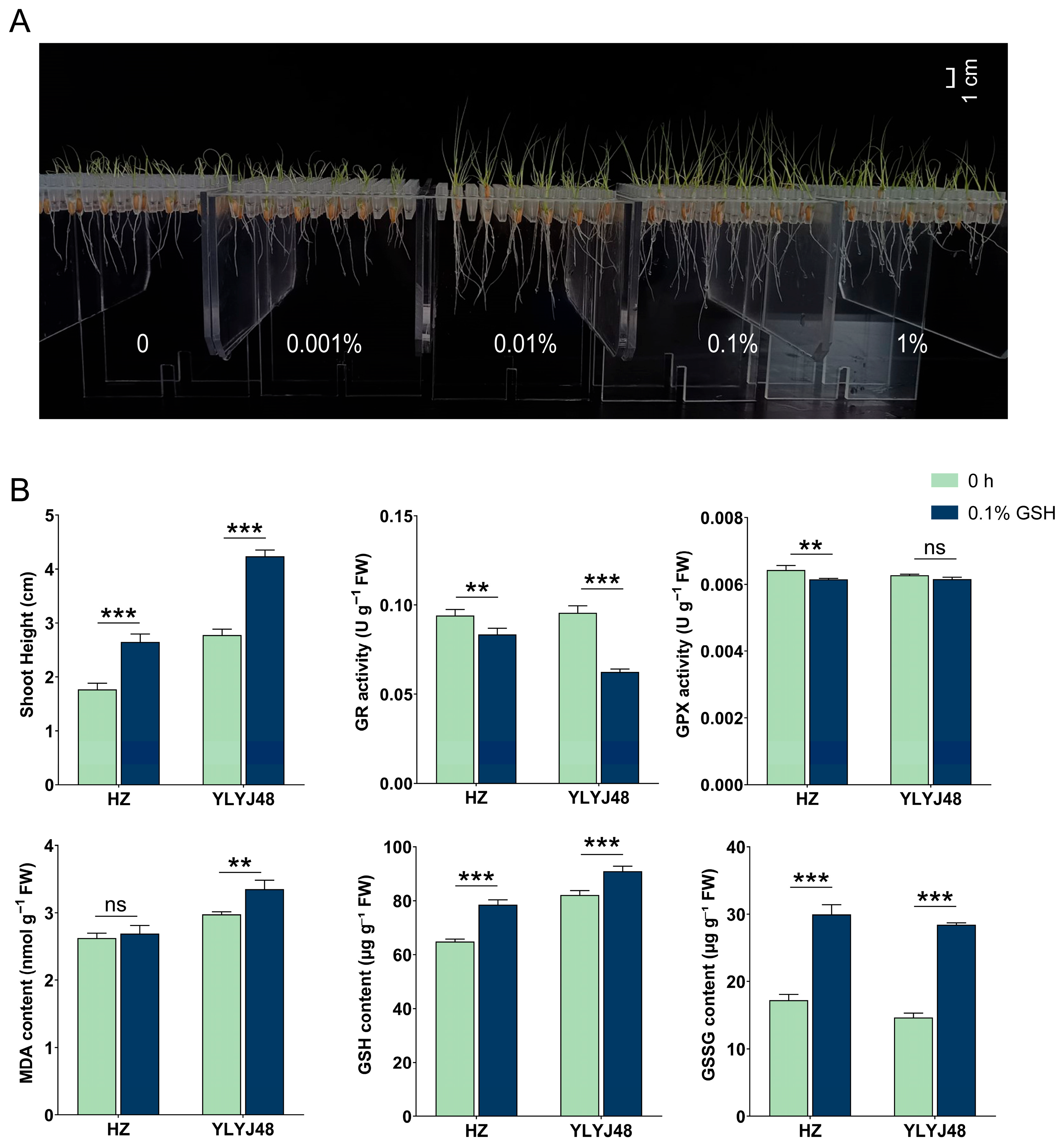 Antioxidants 14 01387 g006