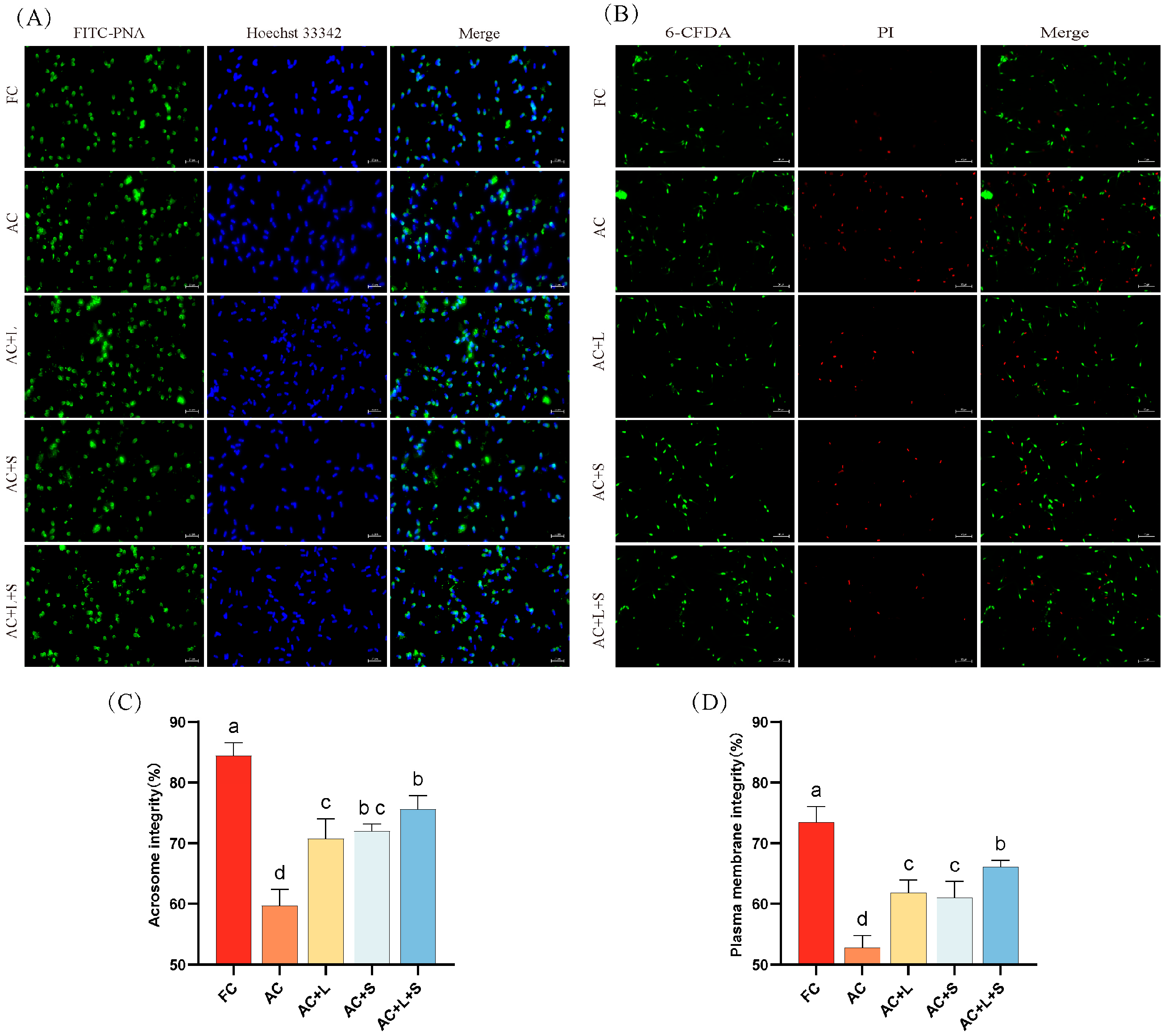 Antioxidants 14 01391 g002
