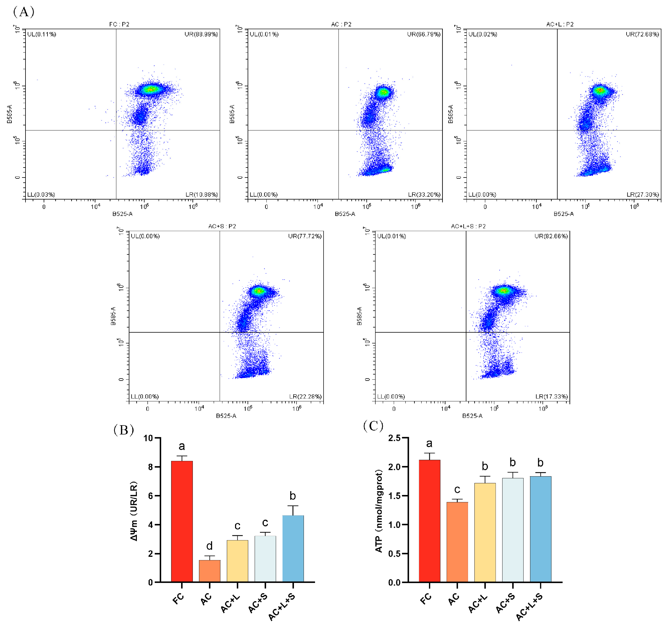 Antioxidants 14 01391 g004