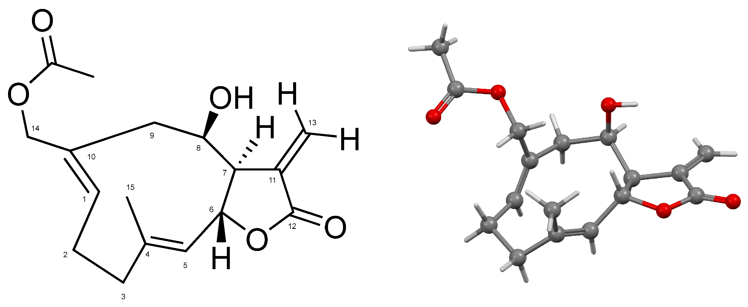 Antioxidants 14 01392 g001