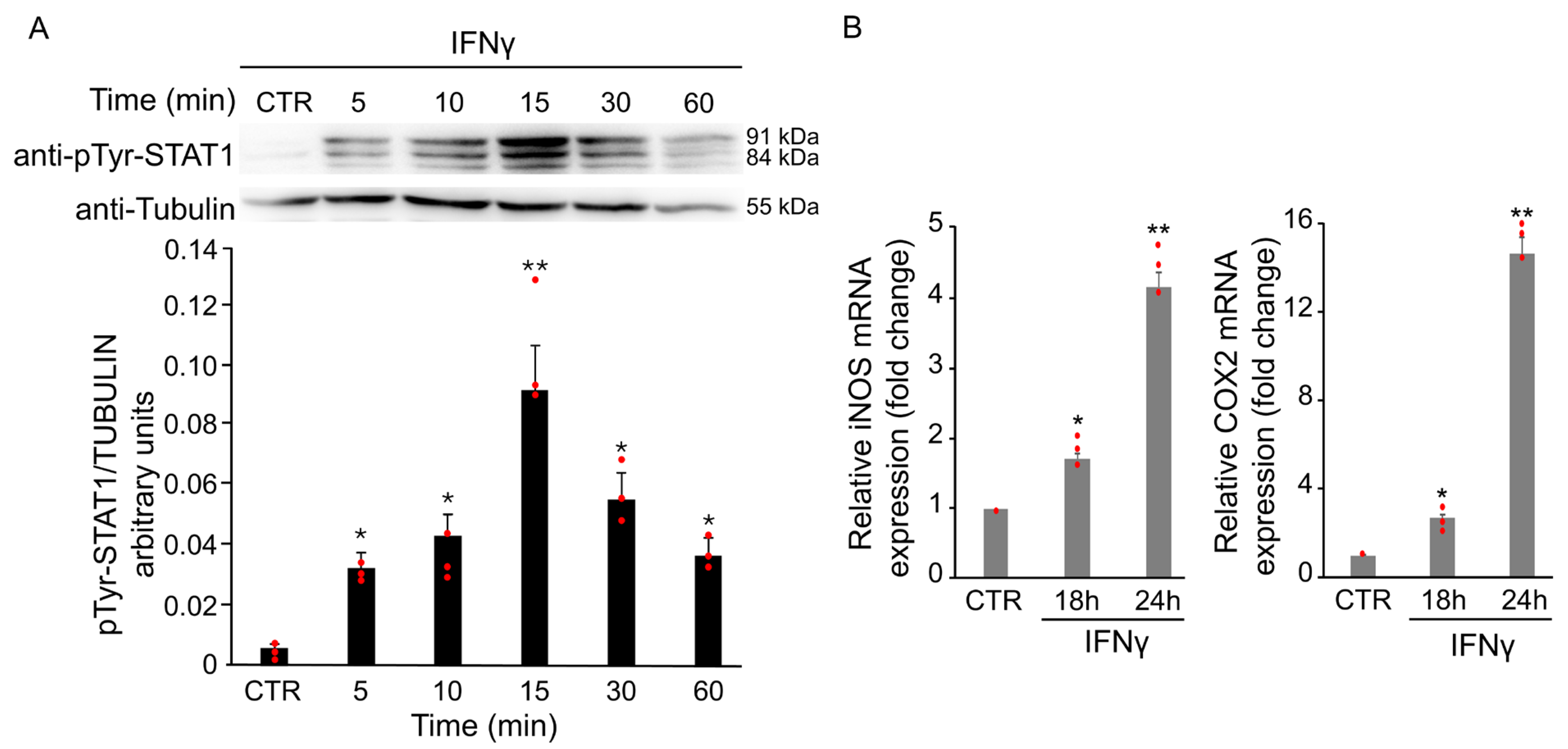 Antioxidants 14 01395 g003
