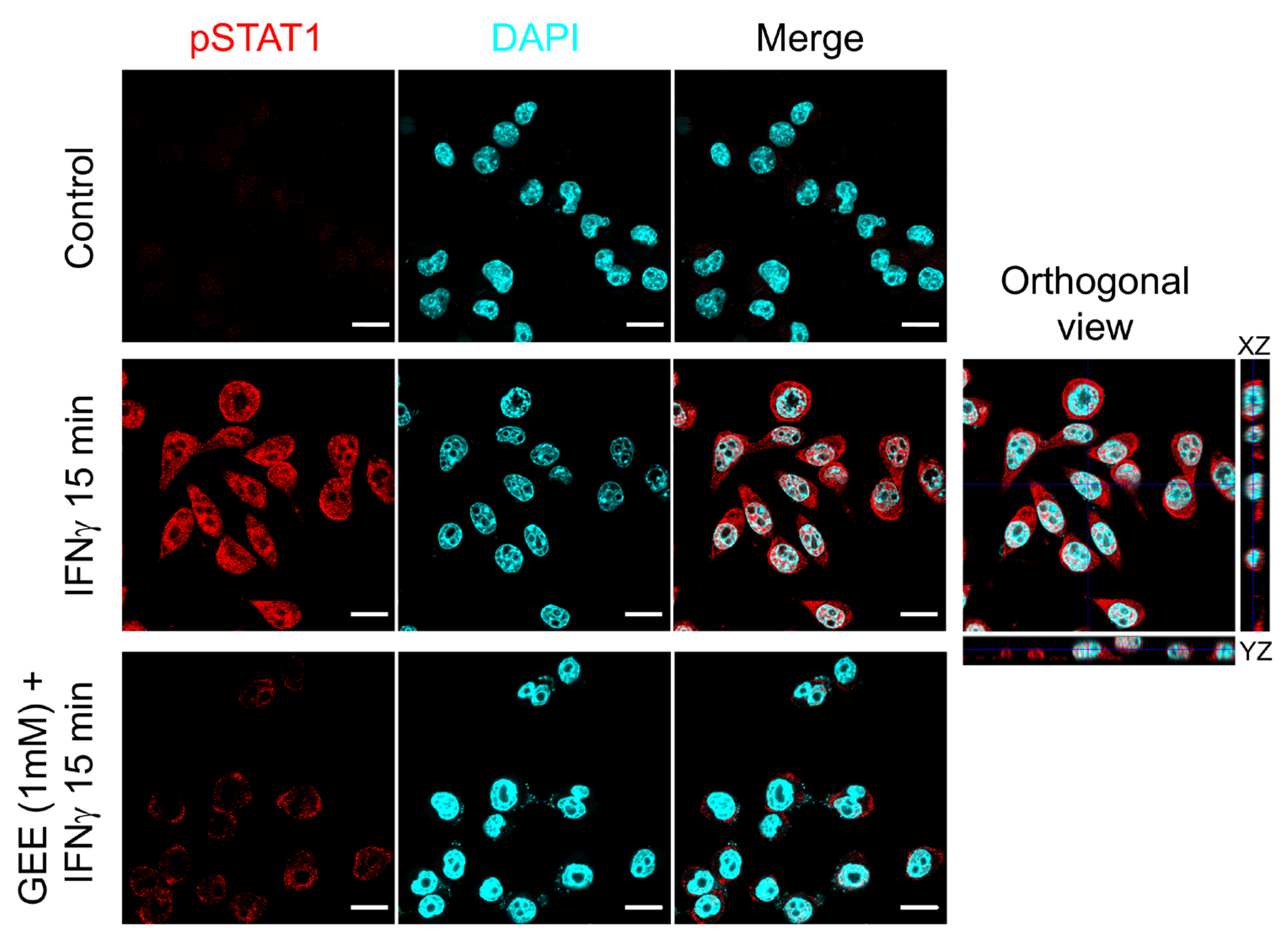 Antioxidants 14 01395 g005