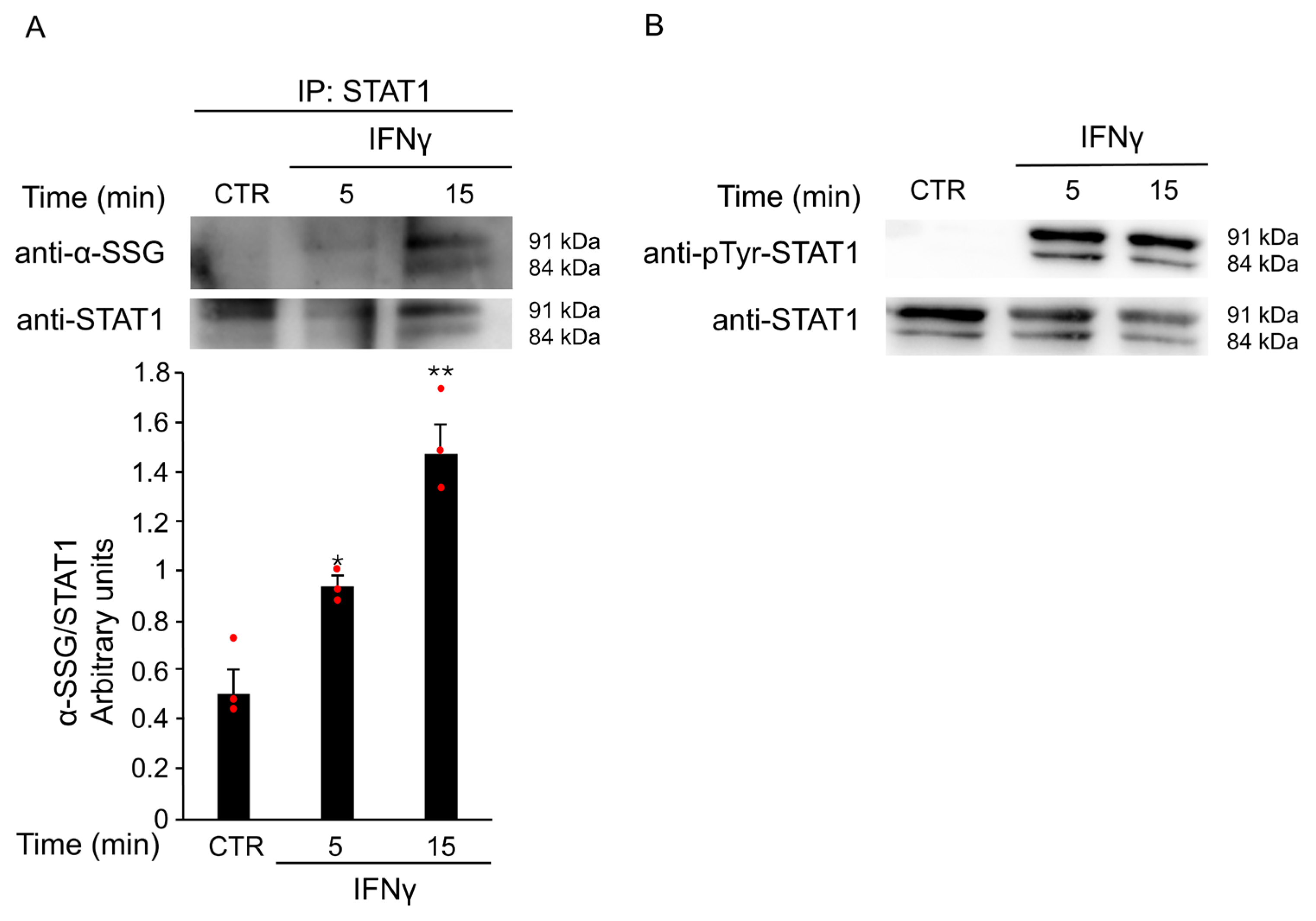 Antioxidants 14 01395 g006