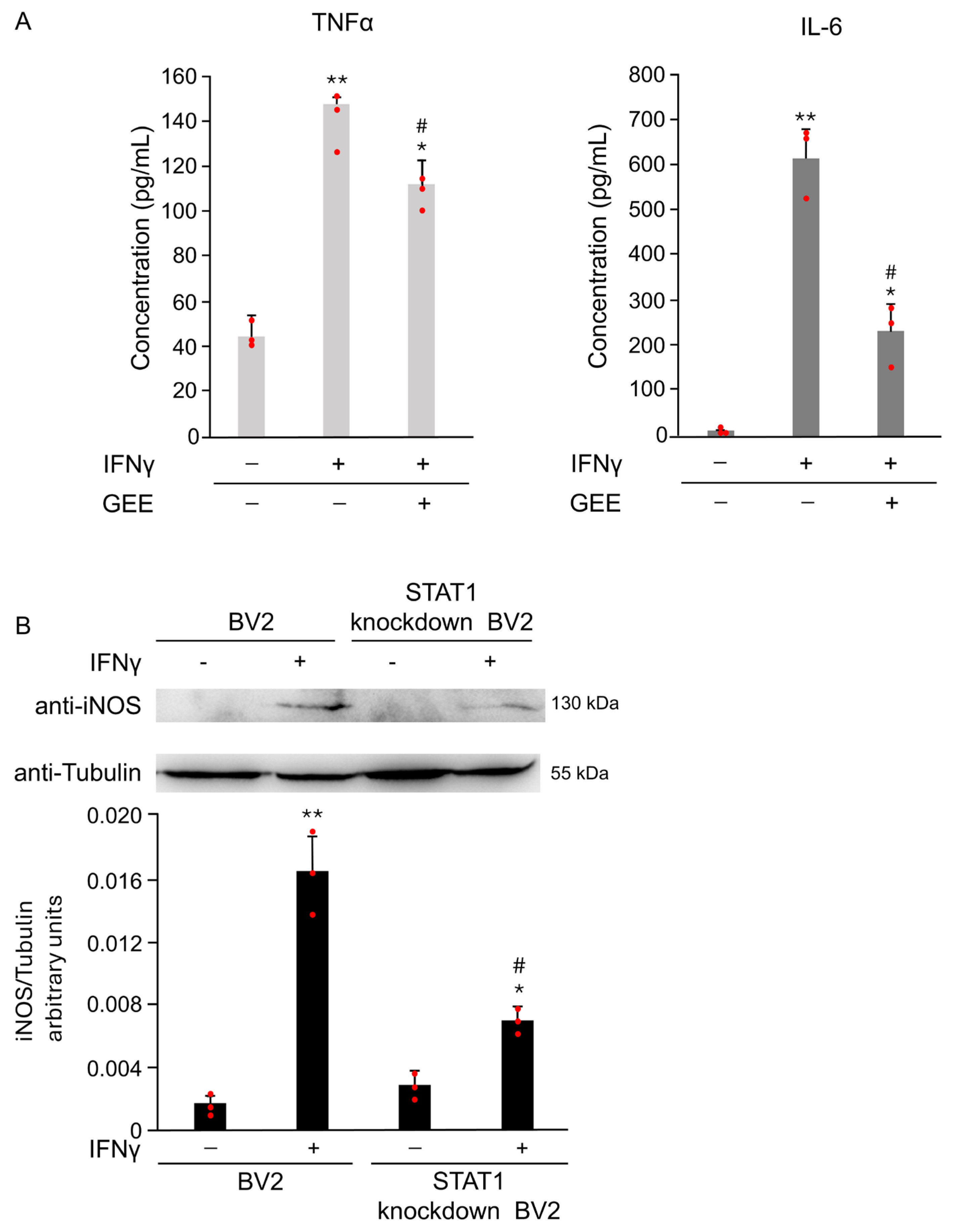 Antioxidants 14 01395 g007