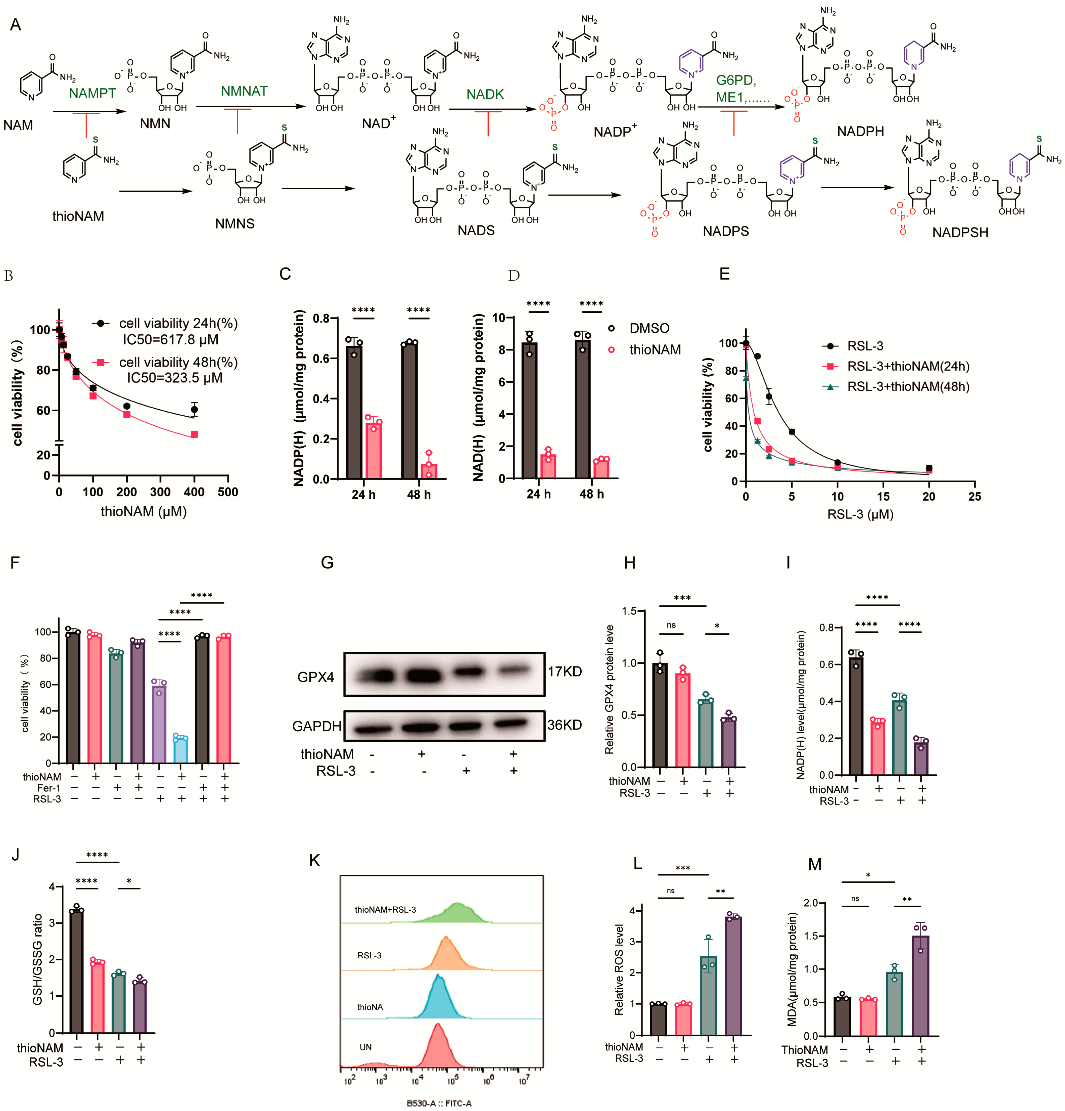 Antioxidants 14 01396 g001