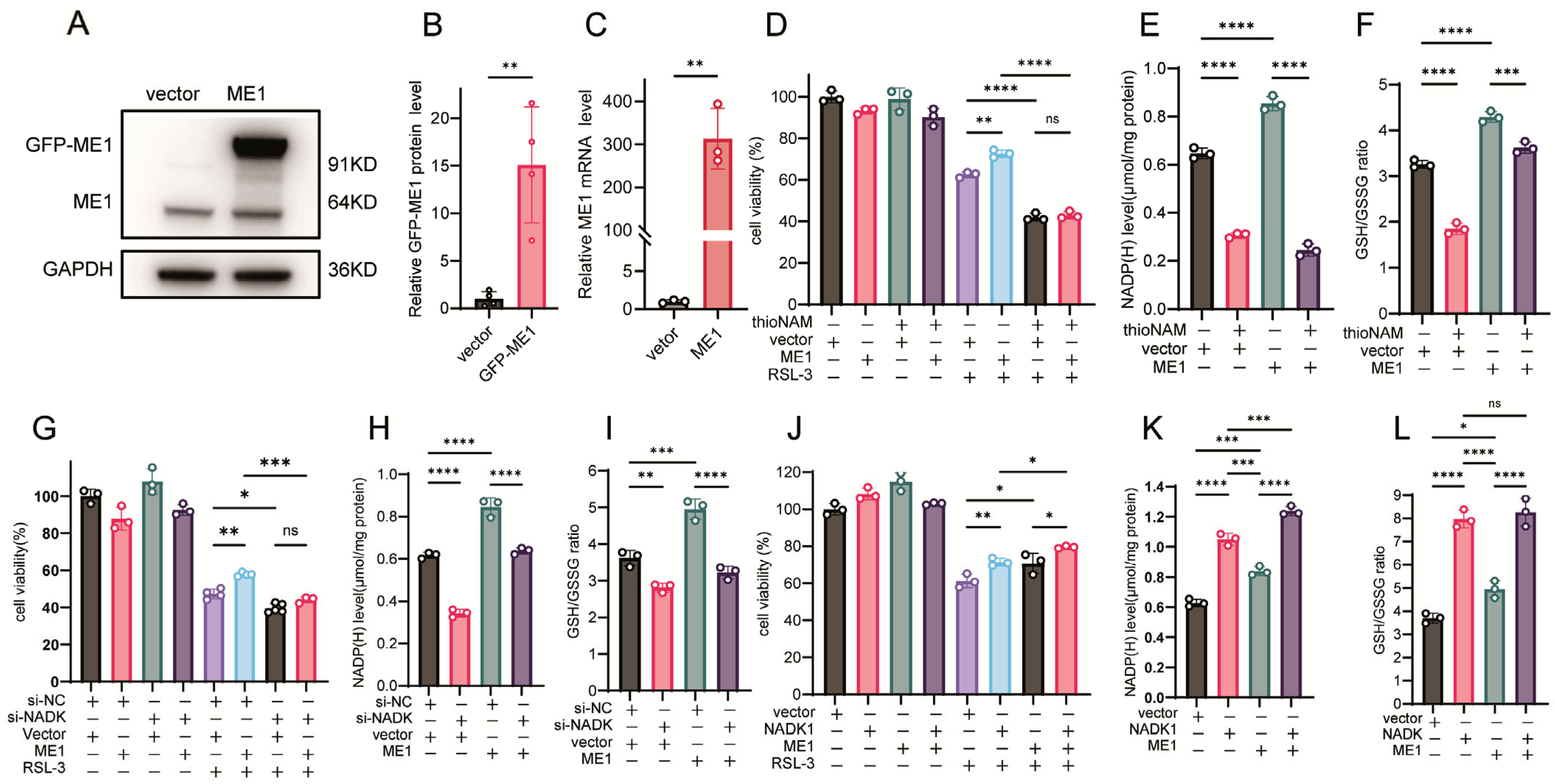 Antioxidants 14 01396 g005