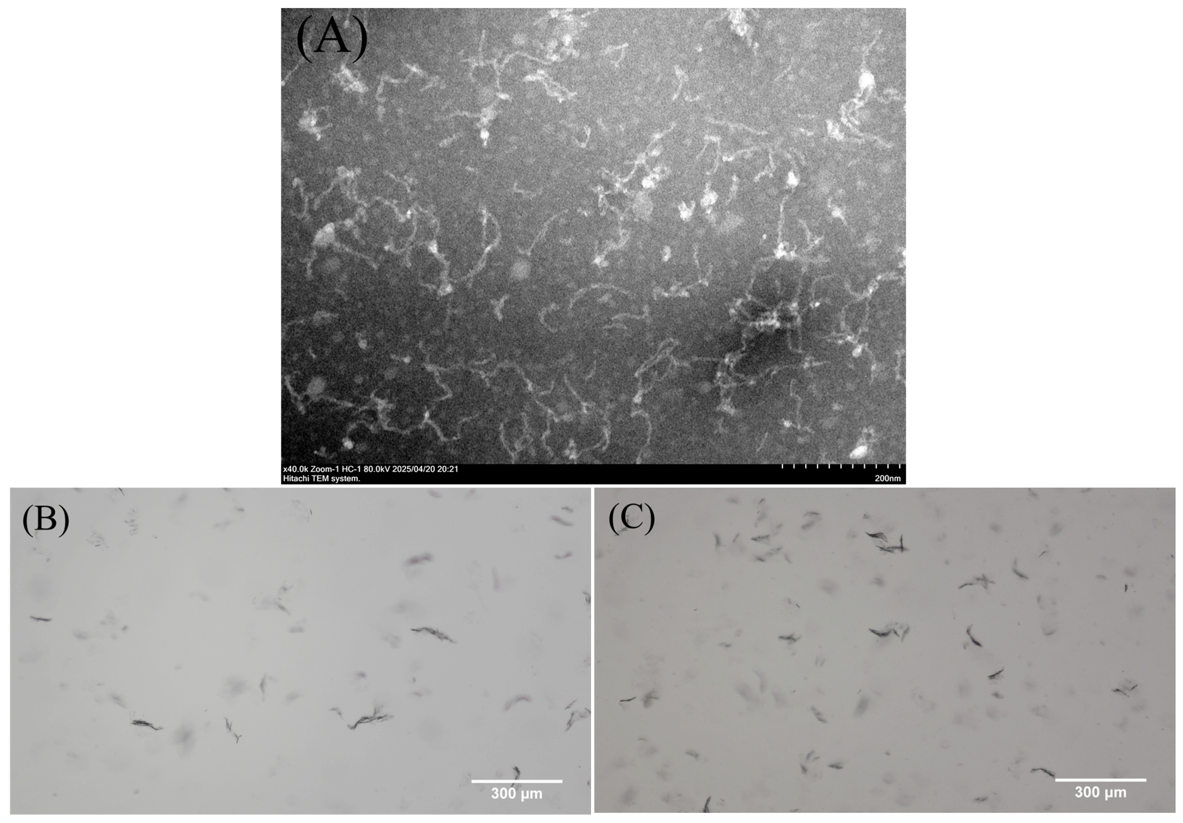 Antioxidants 14 01399 g001 Antioxidants 14 01399 g001