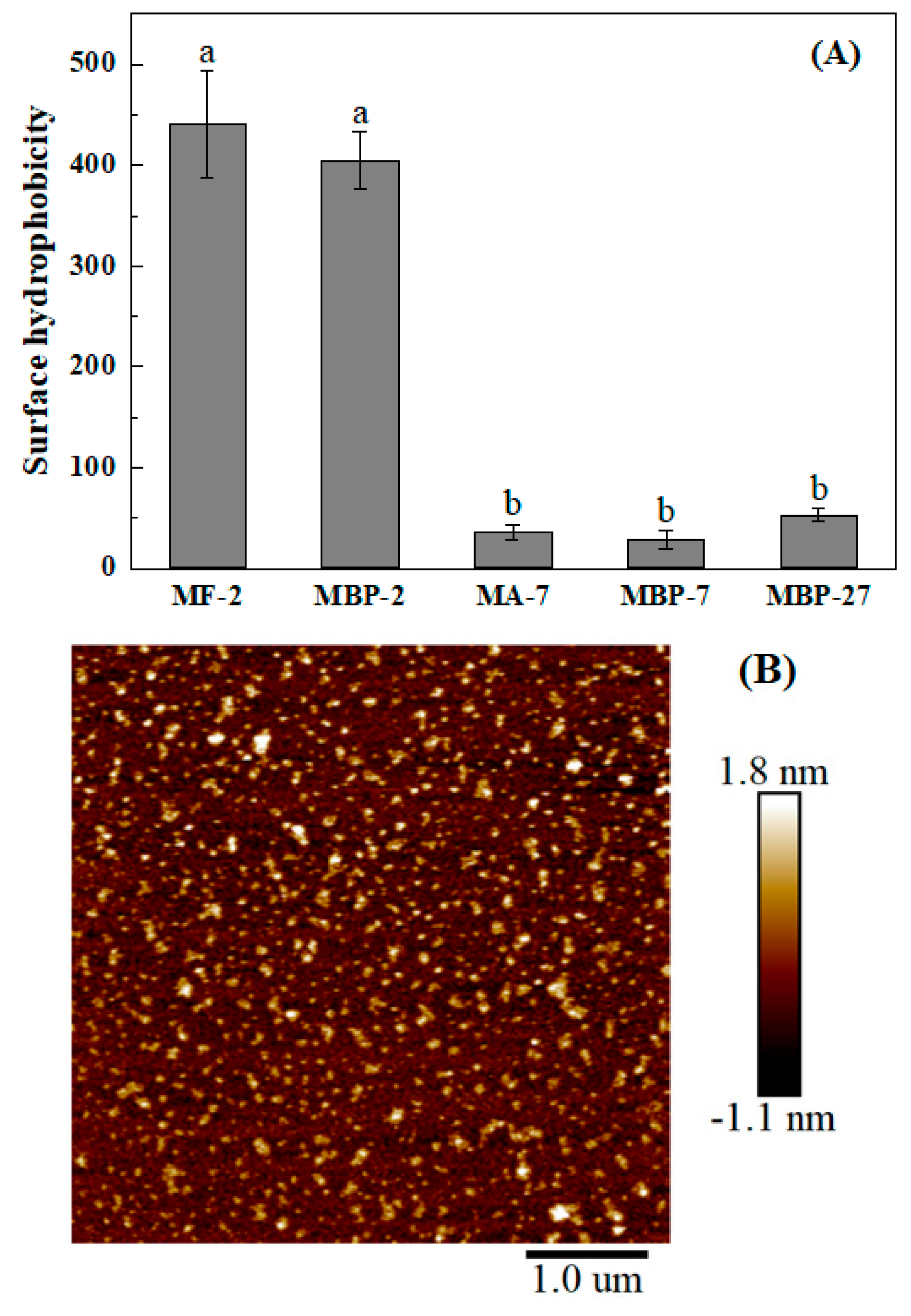 Antioxidants 14 01399 g004 Antioxidants 14 01399 g004