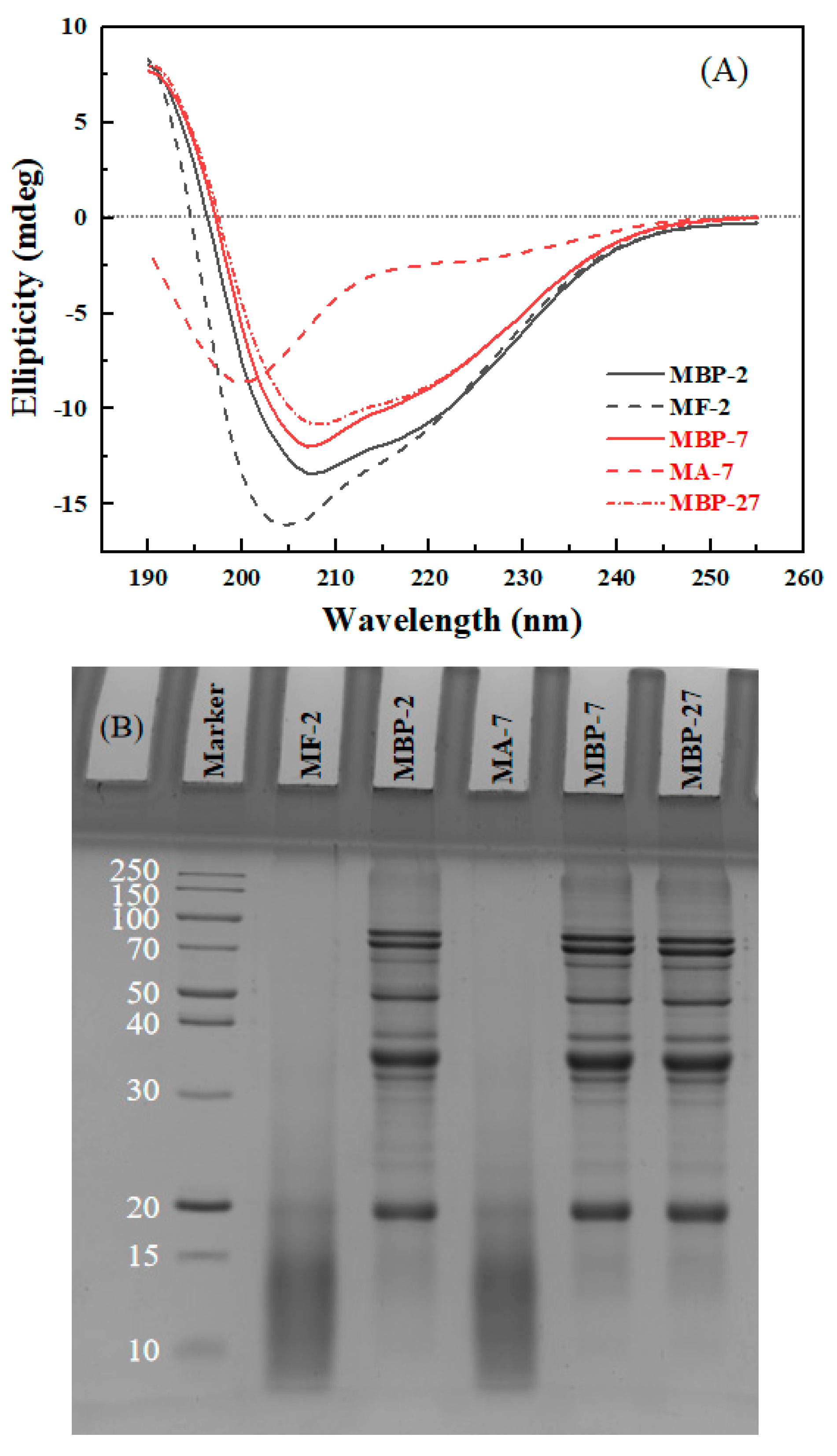 Antioxidants 14 01399 g005 Antioxidants 14 01399 g005