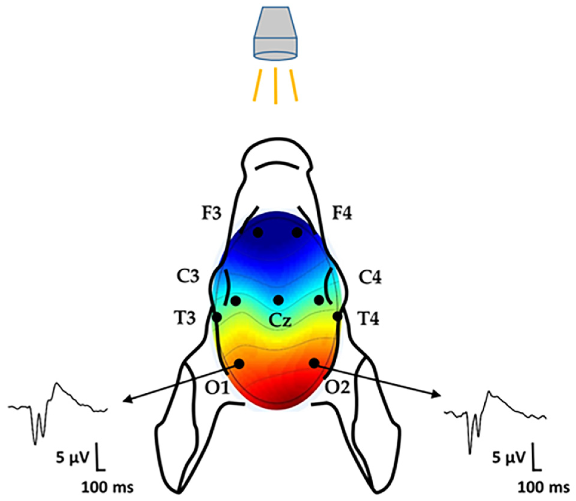 Antioxidants 14 01405 g002