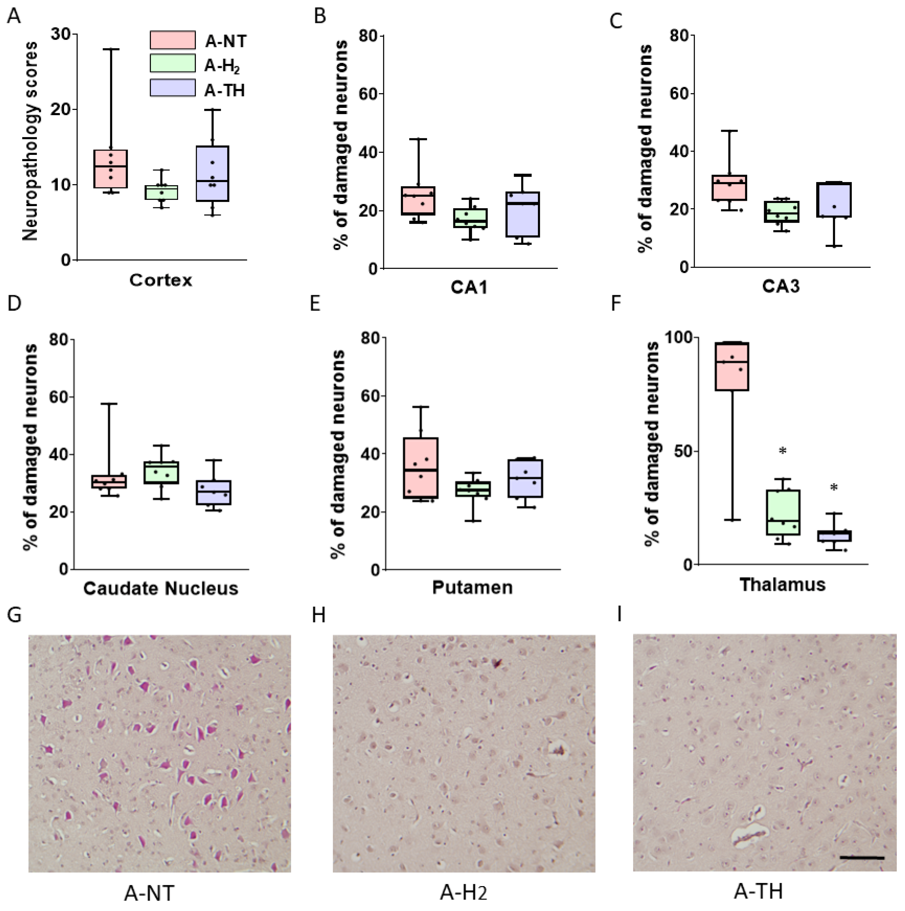 Antioxidants 14 01405 g008
