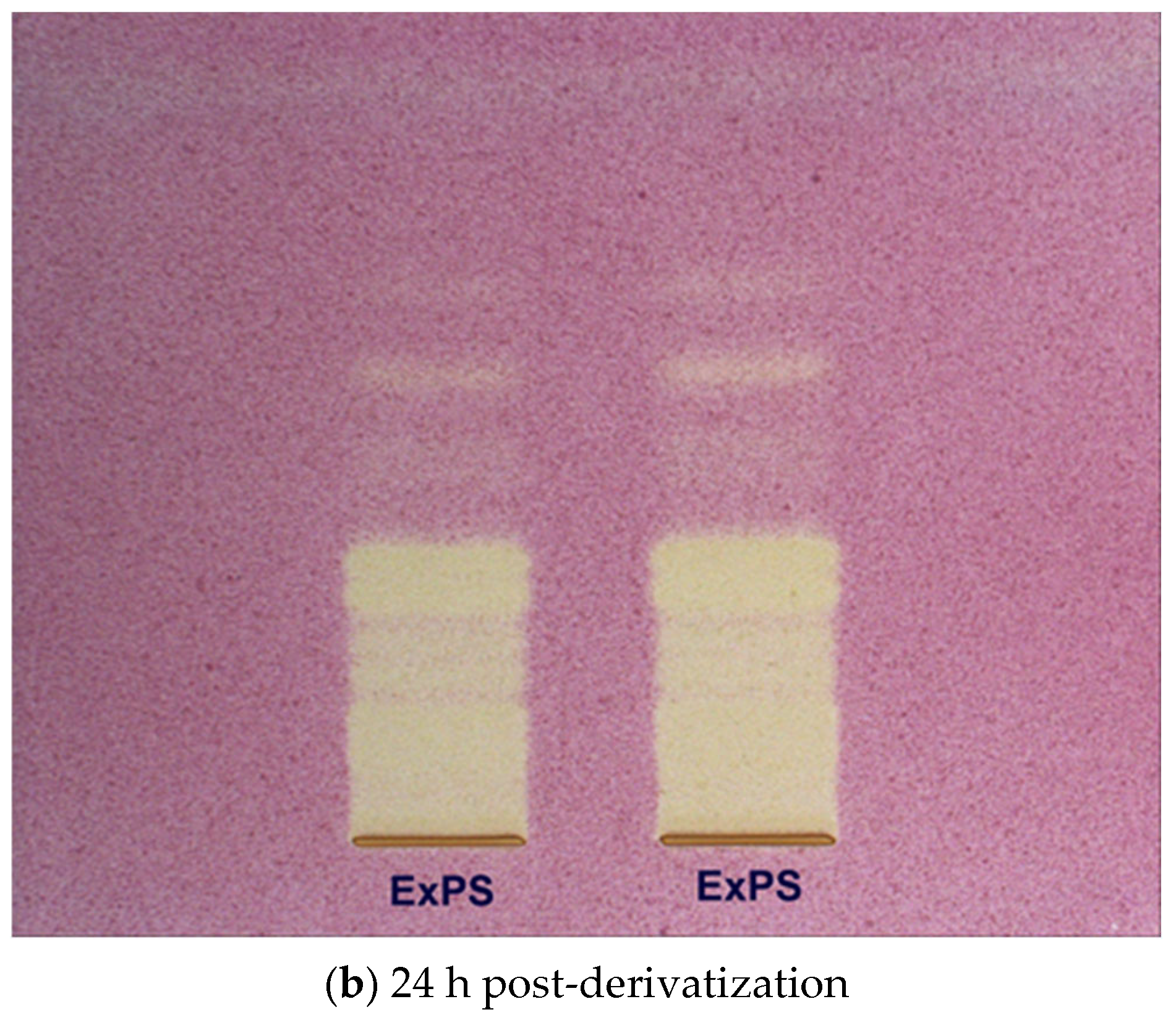 Antioxidants 14 01408 g002b