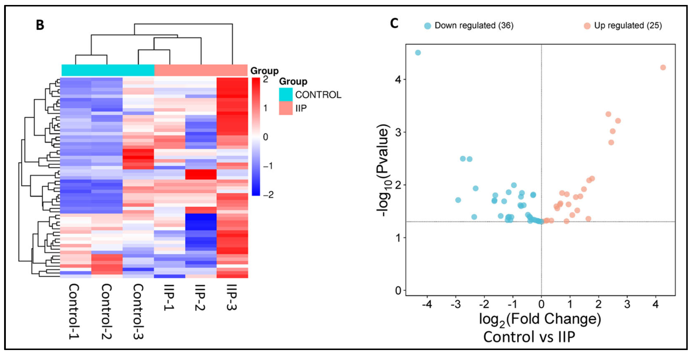 Antioxidants 14 01410 g001b