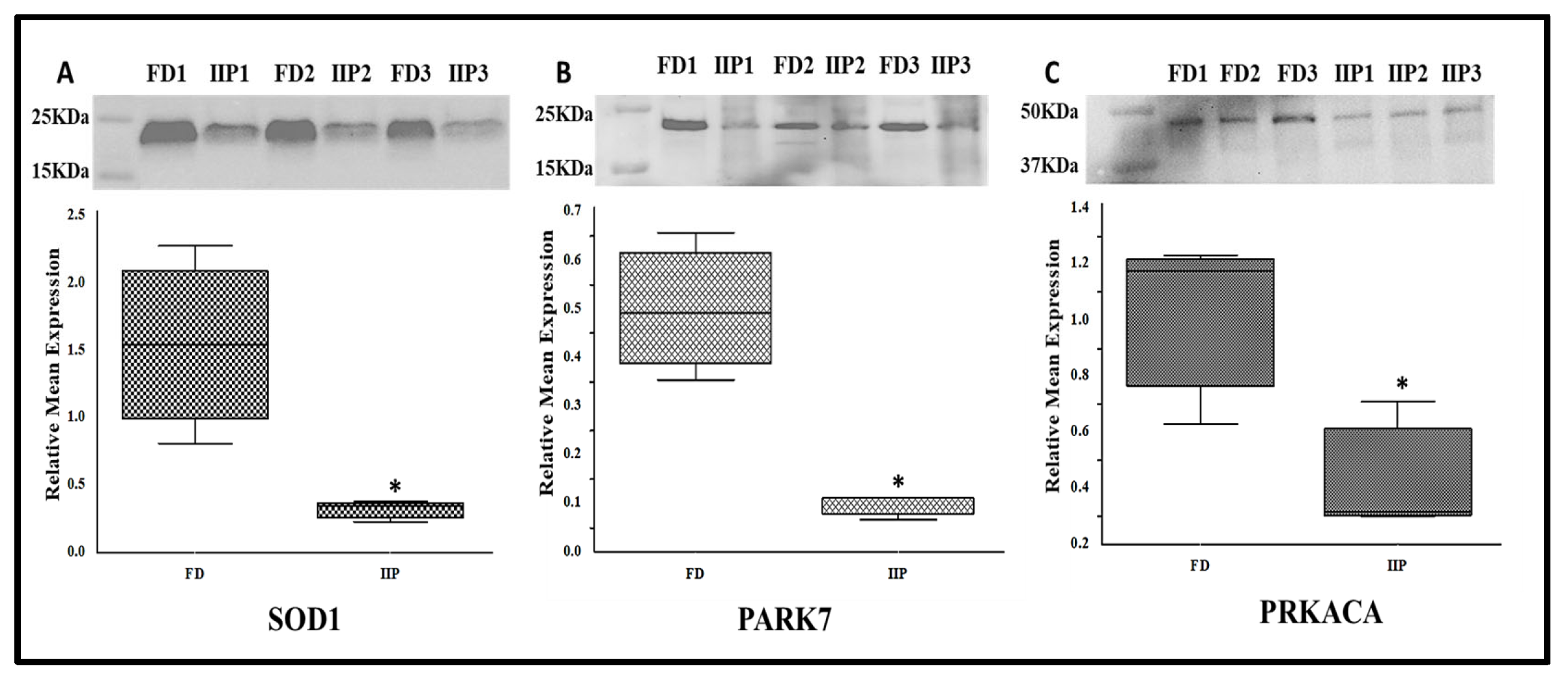 Antioxidants 14 01410 g006