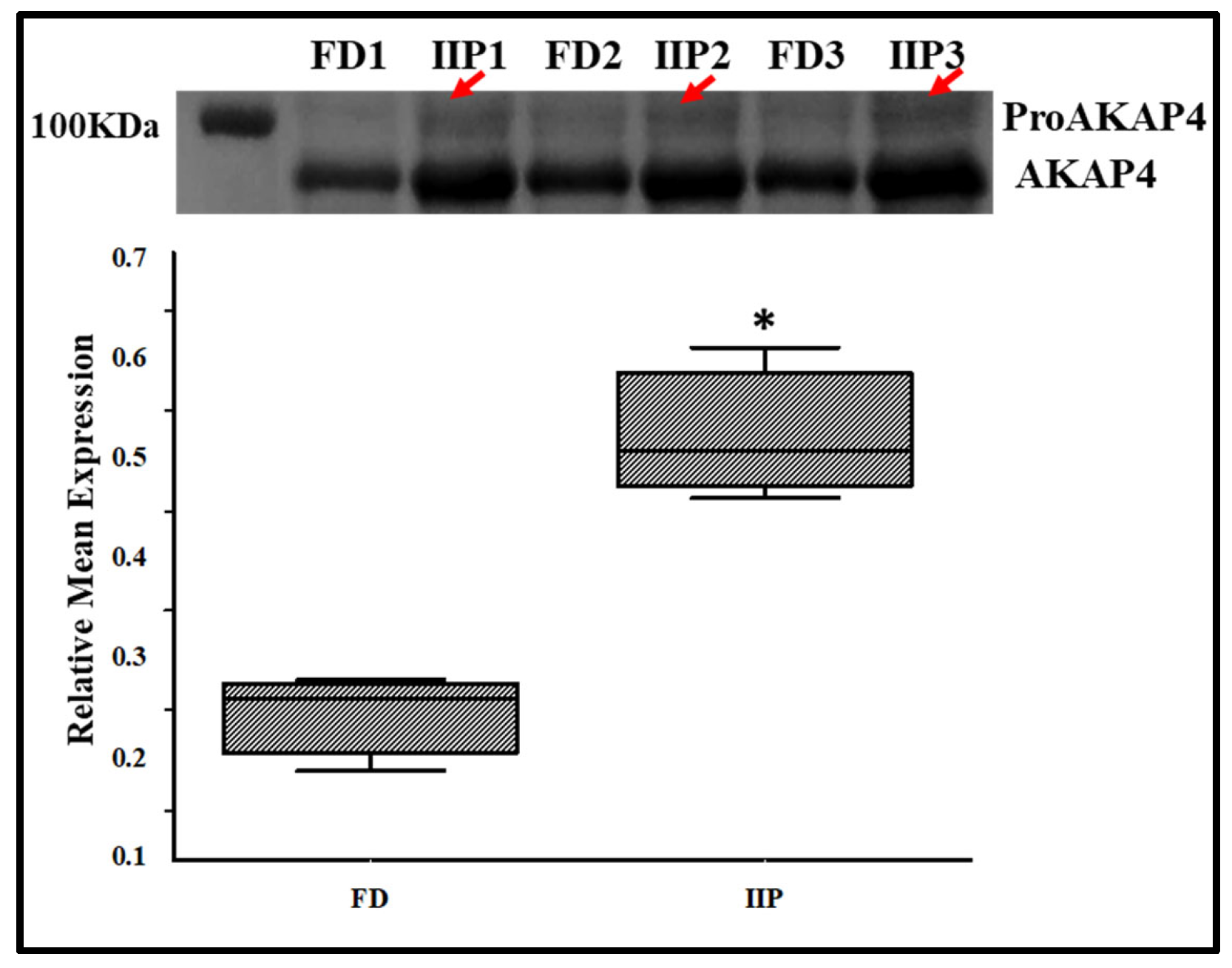 Antioxidants 14 01410 g007