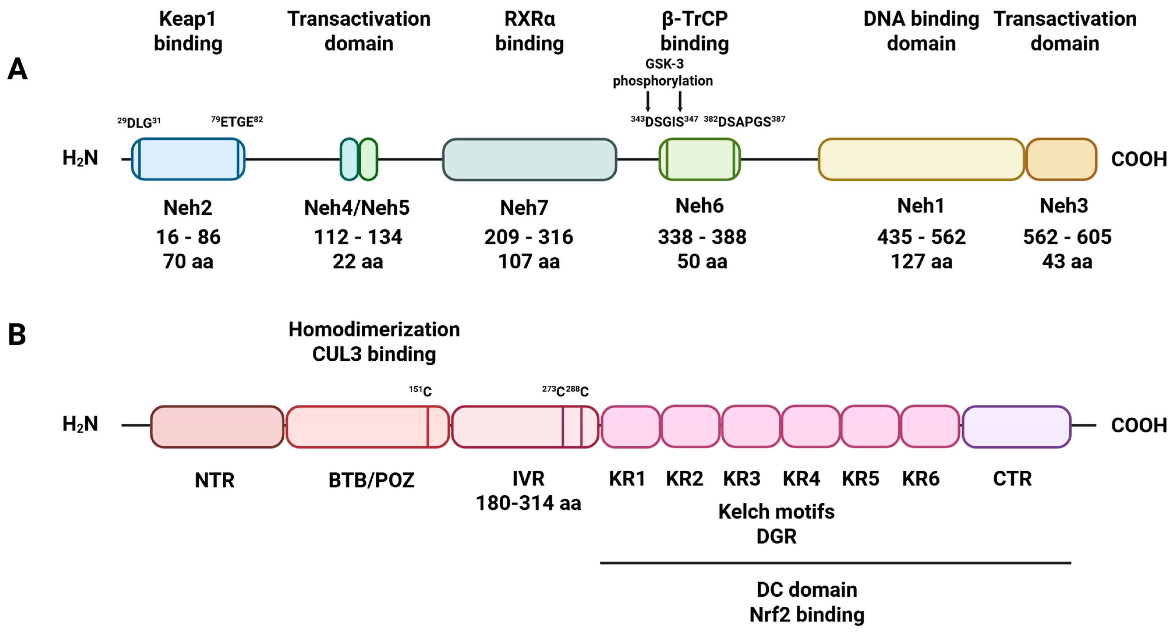 Antioxidants 14 01415 g001