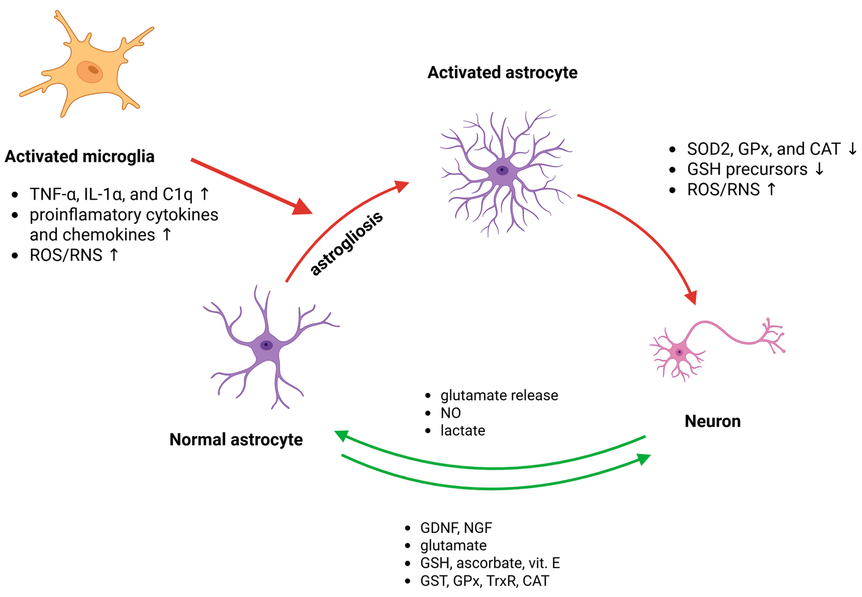 Antioxidants 14 01415 g003
